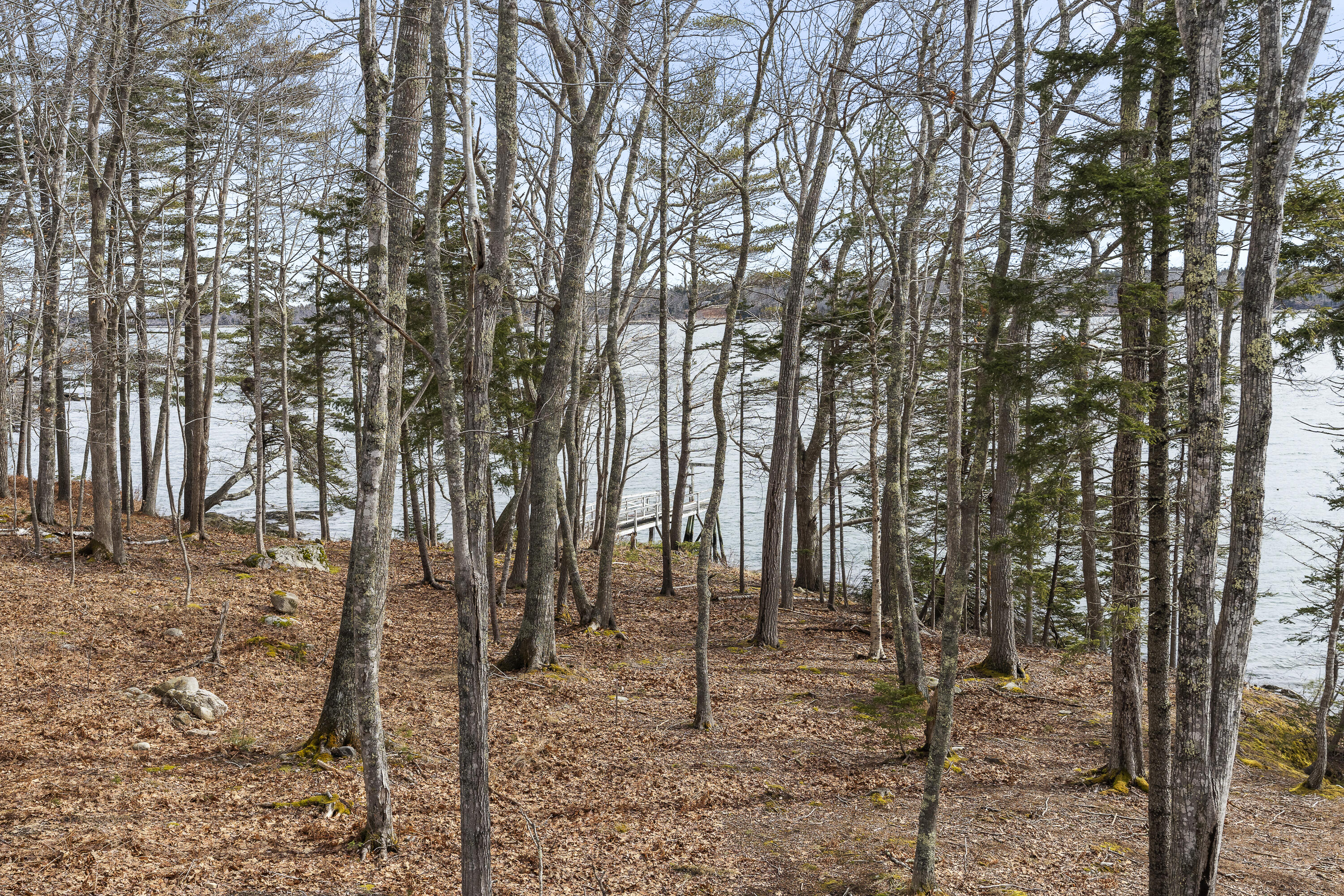 31 Viking Way, Bristol, ME, 04539