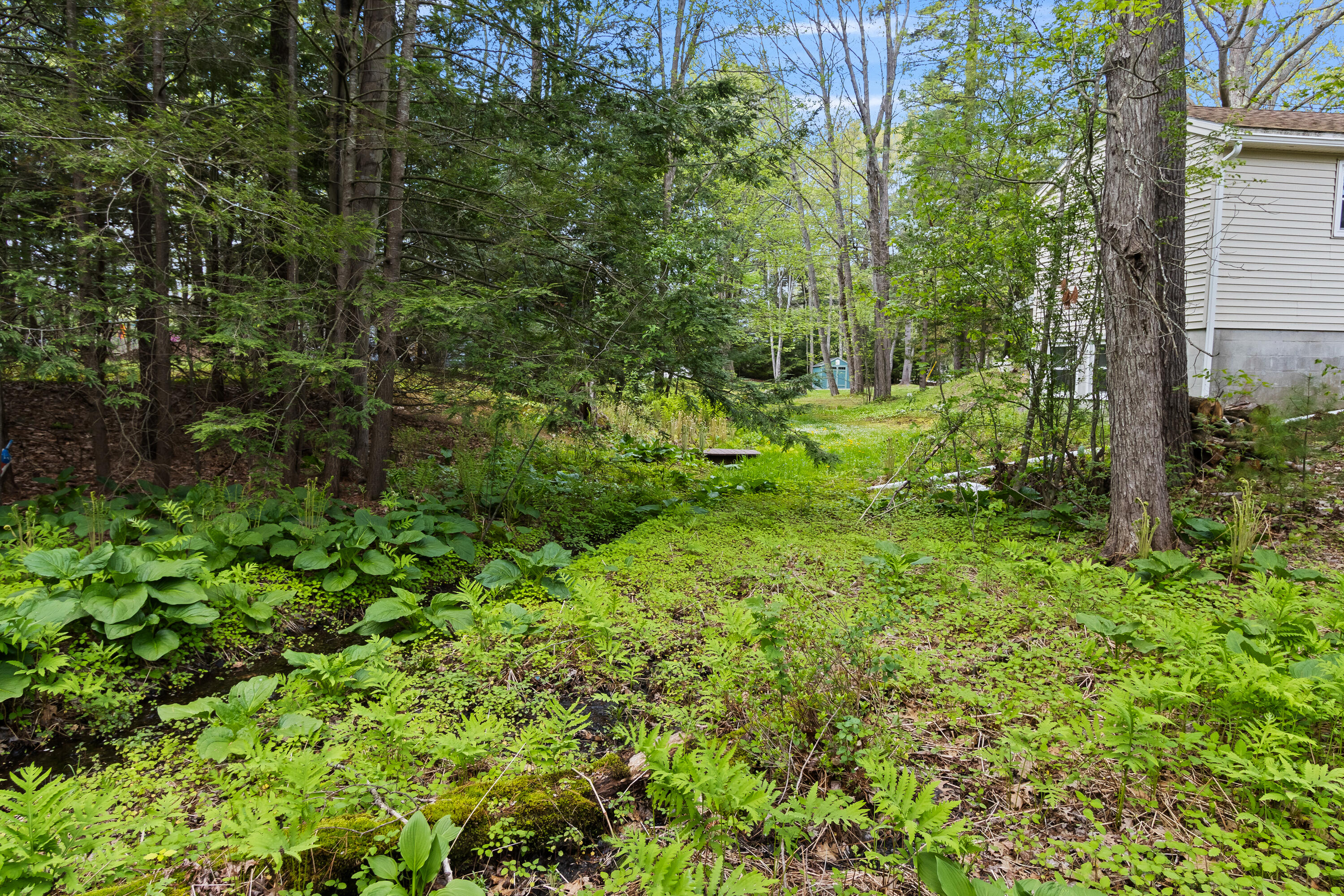 Beautiful Little Stream out back