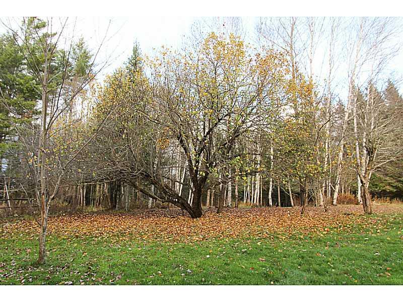 236 Mill Road, Upton, ME, 04261
