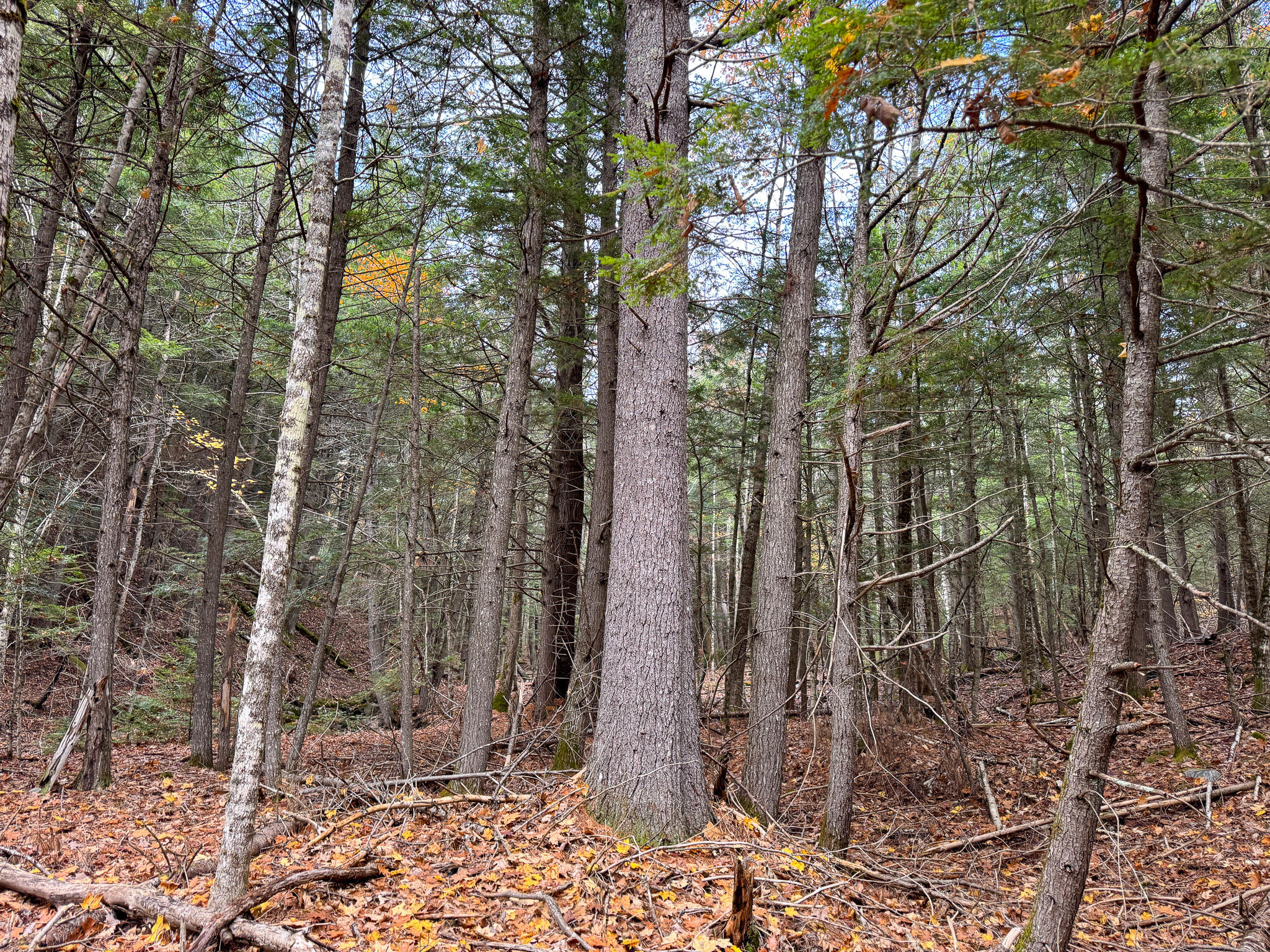 Lot 2 Darci Lane, Montville, ME, 04941