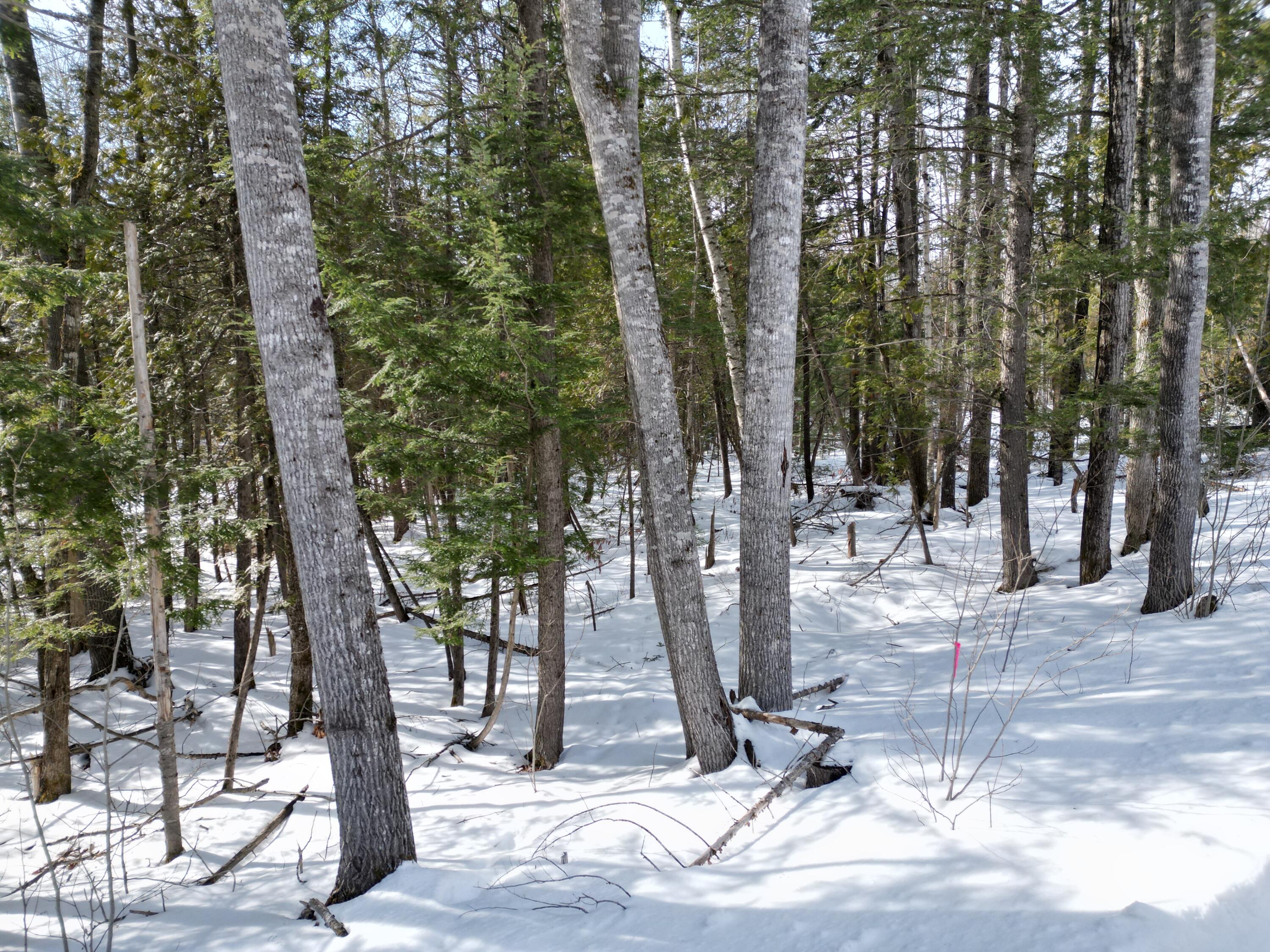 8 Twin Springs Lane, Lincoln, ME, 04457