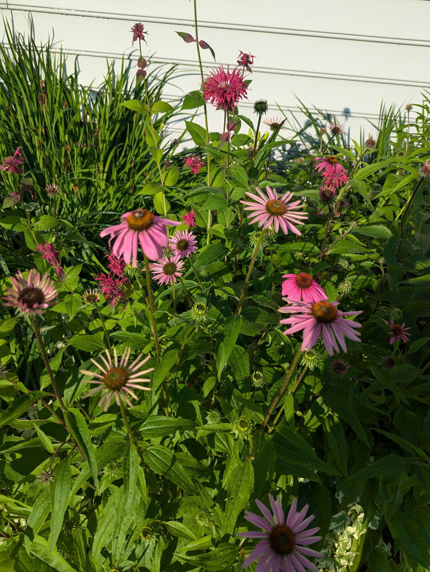 48 Pennell Avenue, Portland, ME, 04103