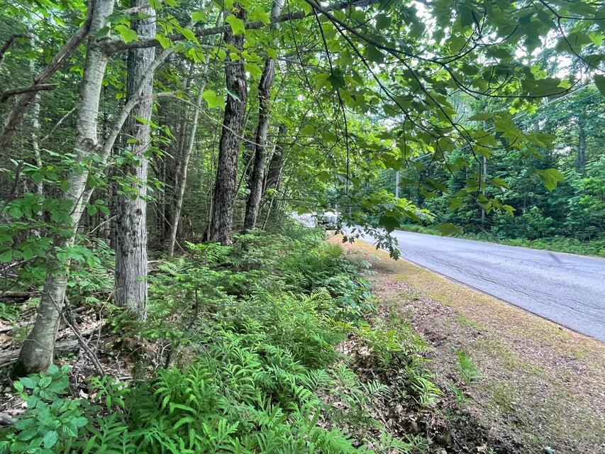 80 Gammon Road, Peru, ME, 04290