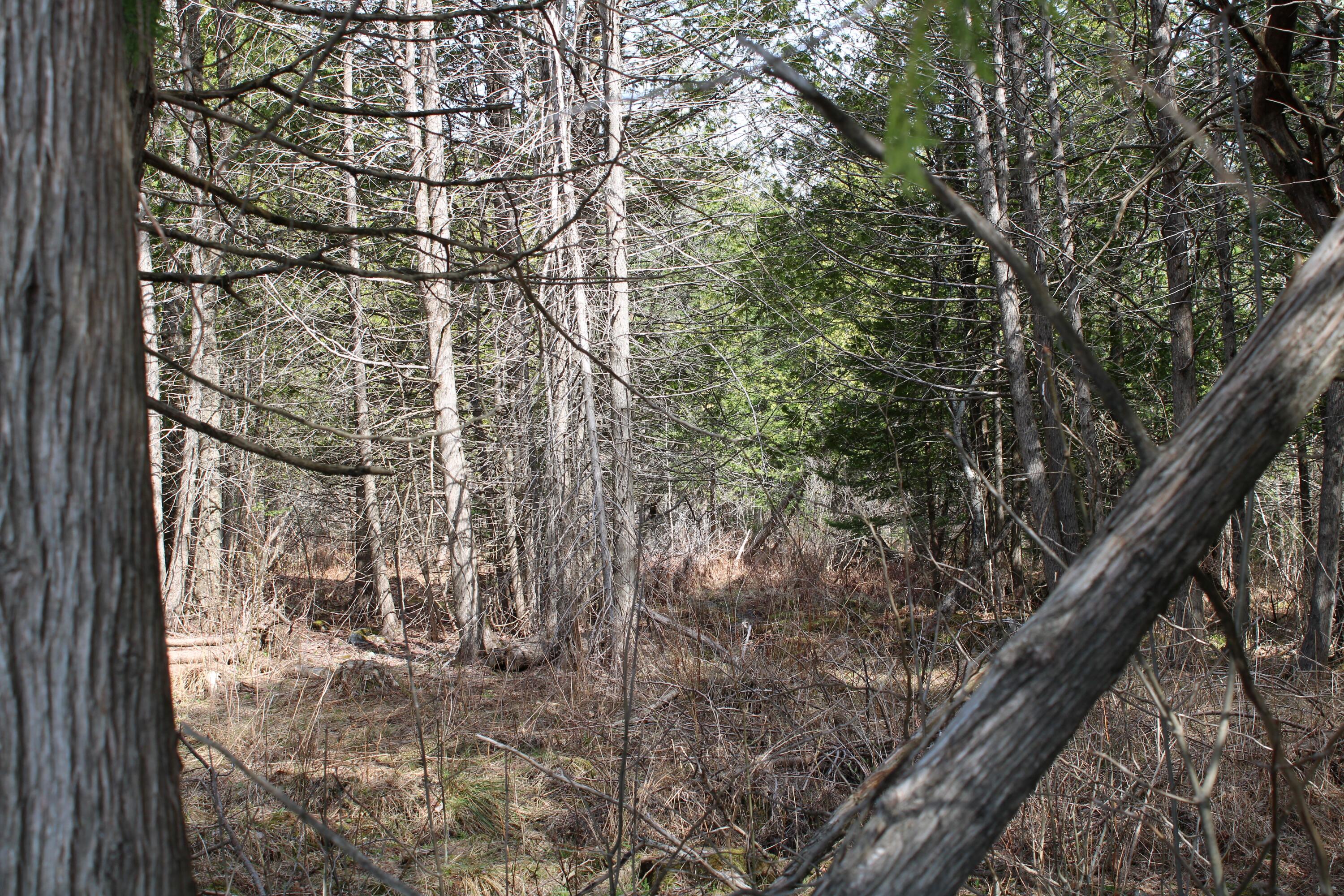 Property photo for M1 L271 West Ripley Road, Ripley, ME