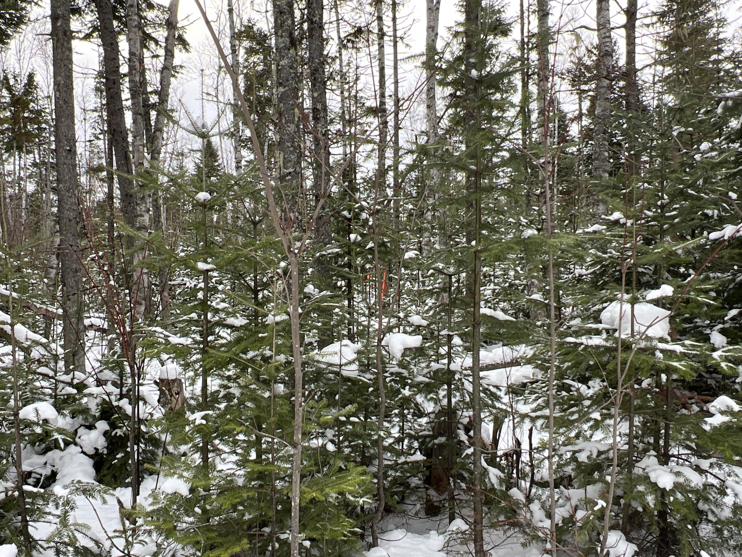 Lot 2-18 Shin Pond Road, Mount Chase, ME, 04765