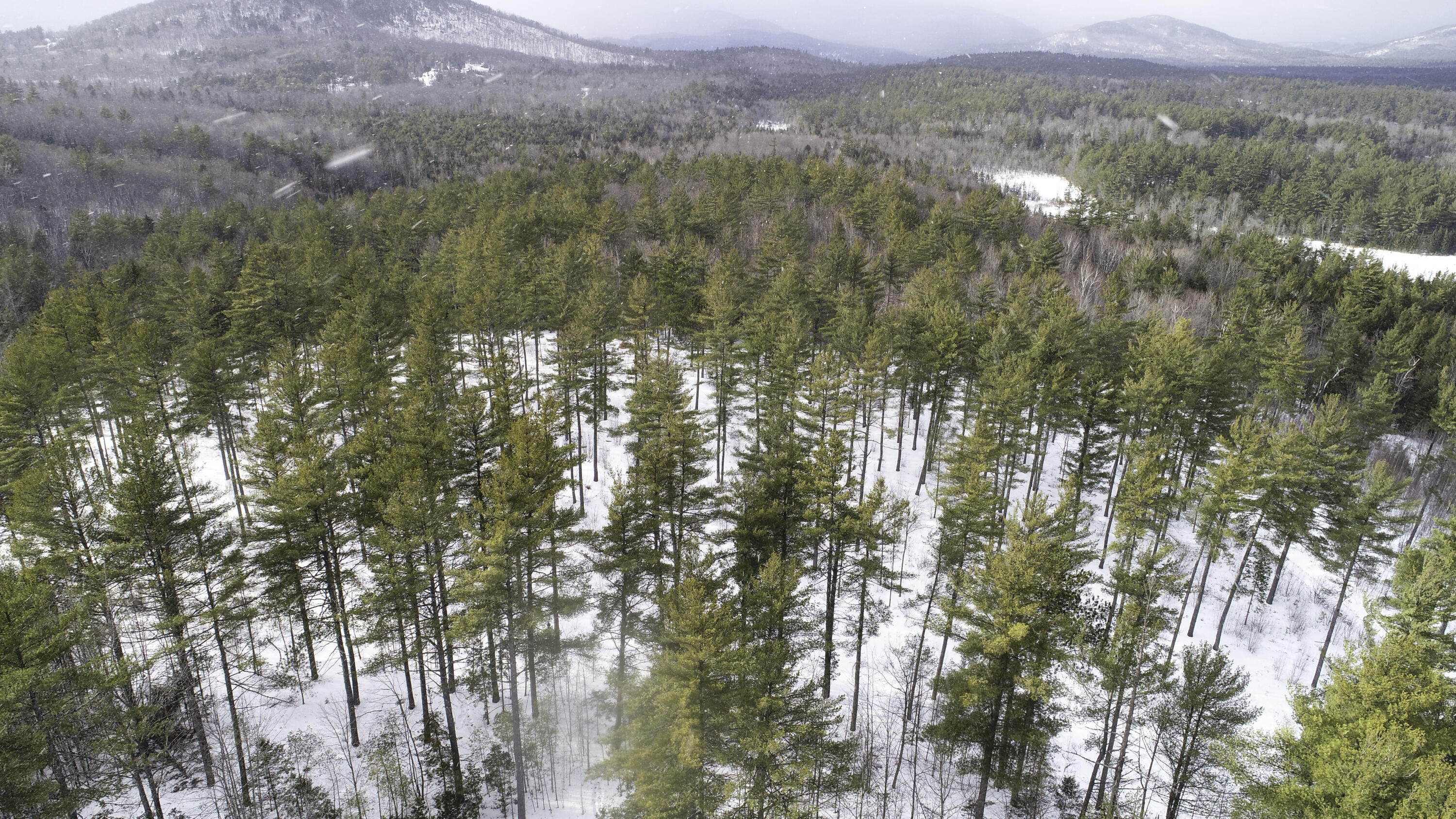 Lot 1 Lyman Wheeler Road, Bethel, ME, 04217