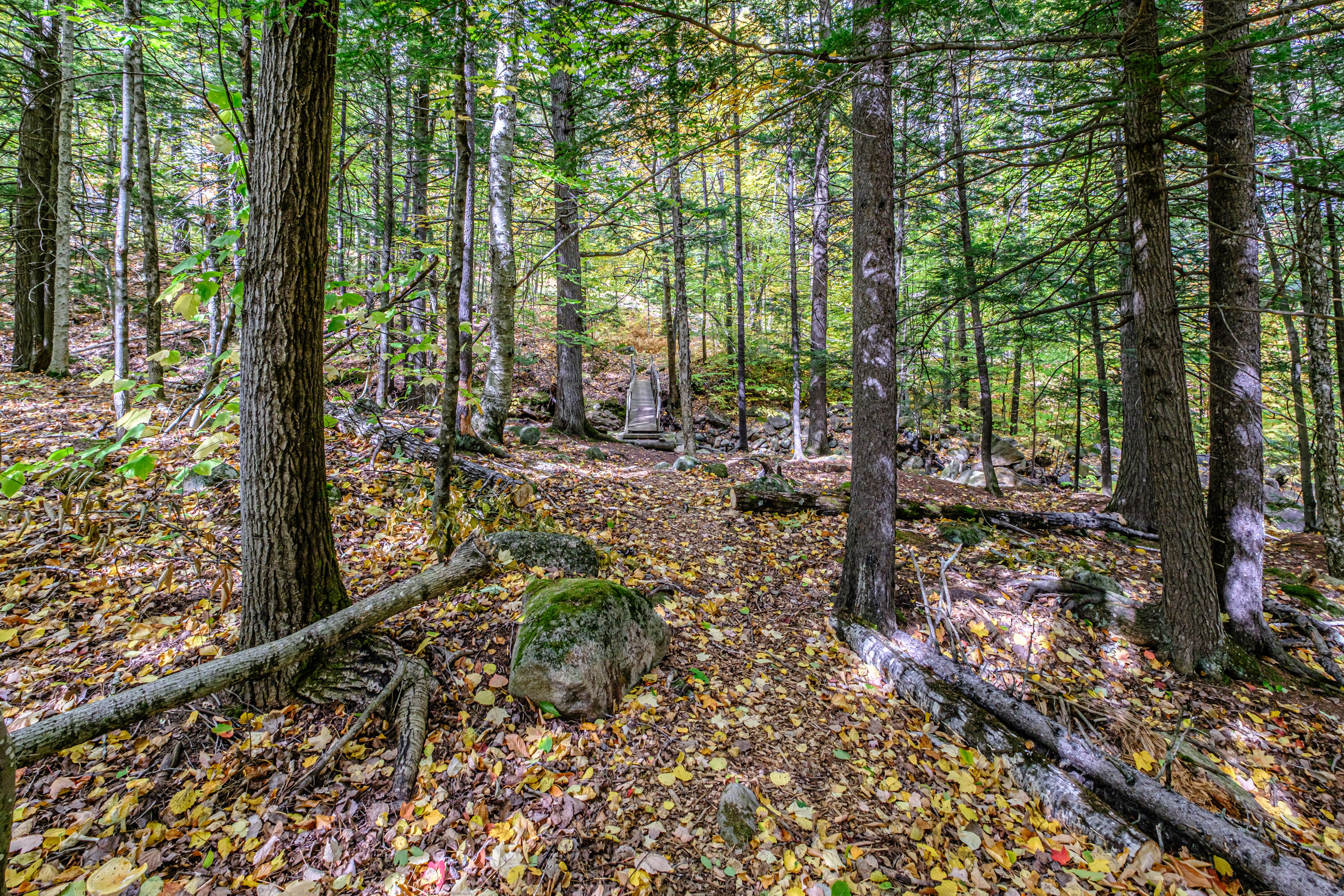 45 Viking Village Road, Newry, ME, 04261-3247