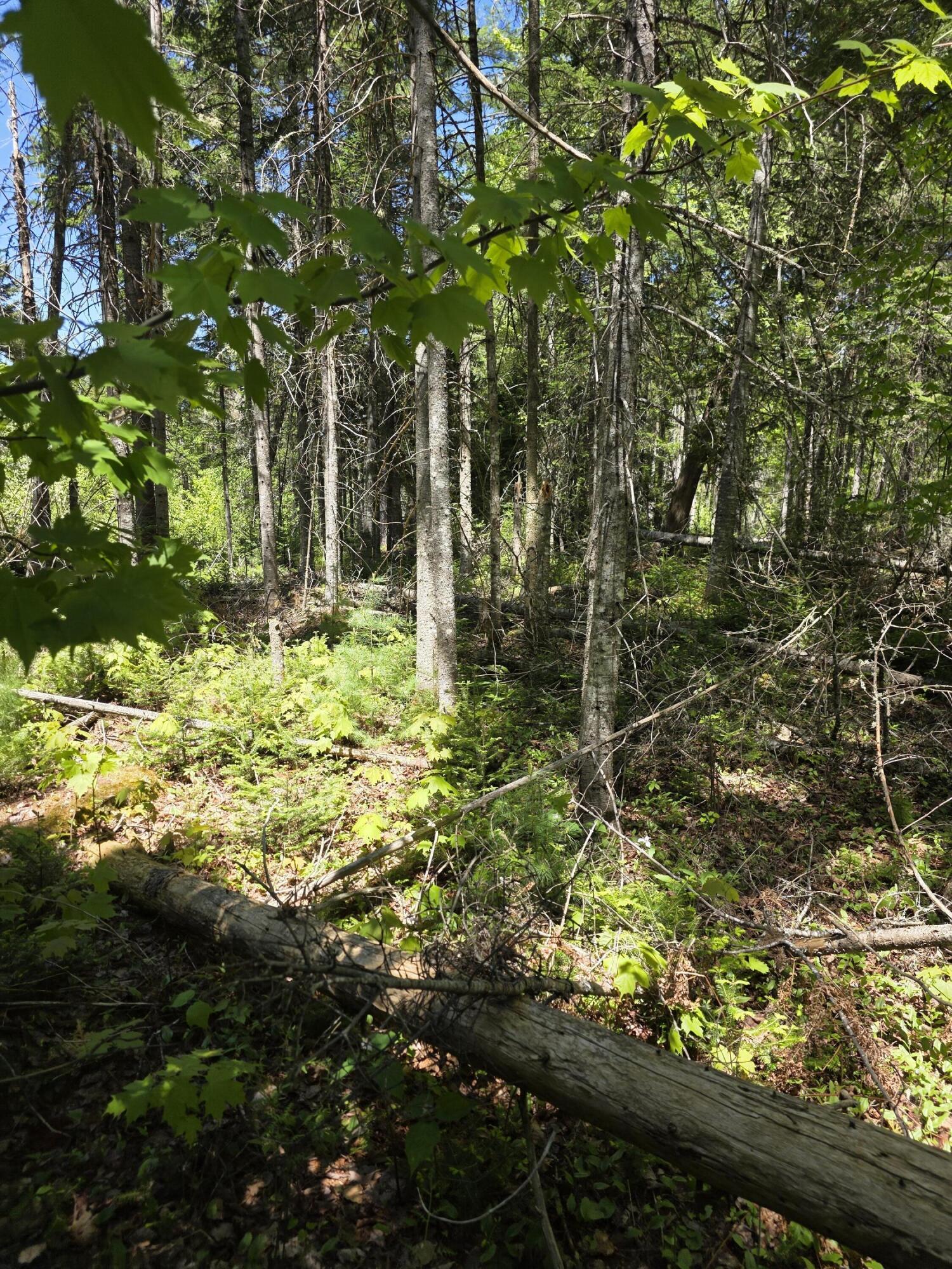 P 8 L 4 Prescott Pond Rd., Moxie Gore, ME 04985 13896 (1)