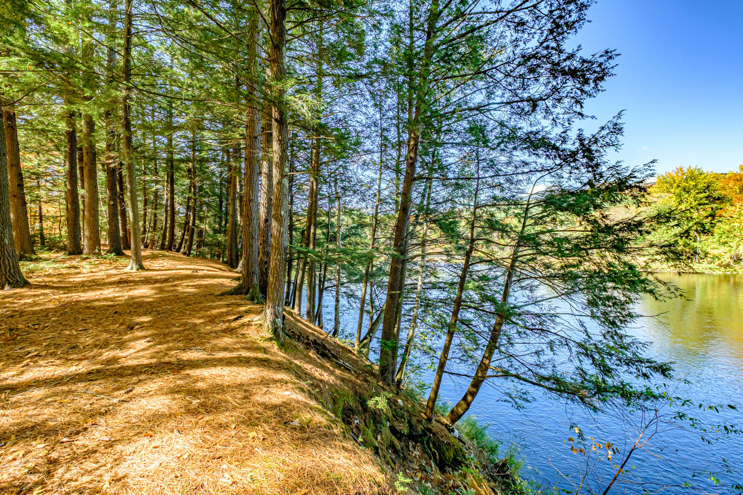 10 Oak Drive, Bethel, ME, 04217-3010
