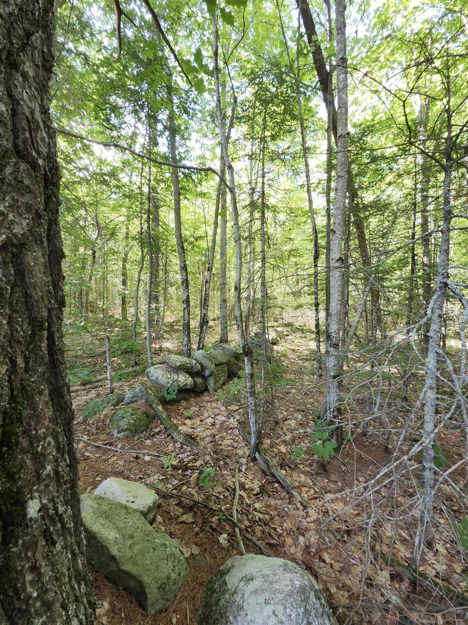 Photo of TBD Bridgton Road Sebago ME 04029