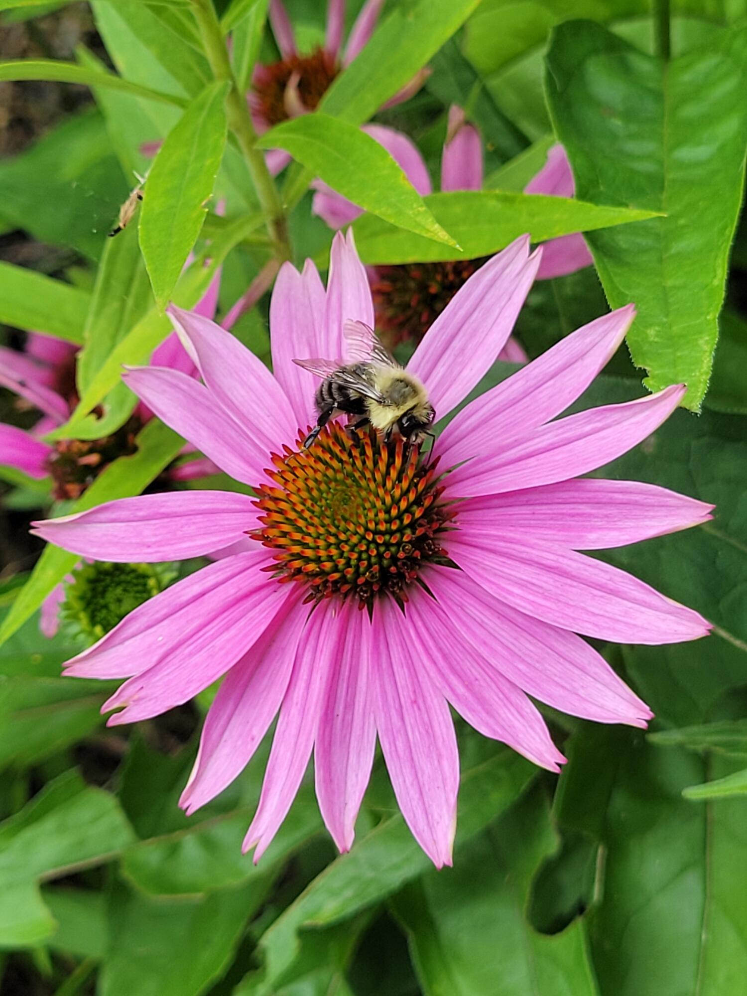 46 N Gorham Road, Gorham, ME, 04038