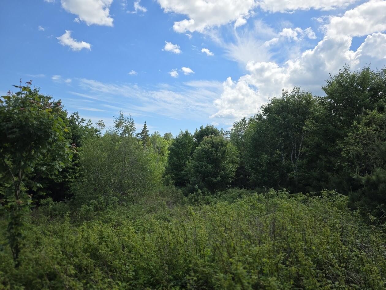 0 E Pleasant River Lake Road, Beddington, ME 04622 20260617_144516