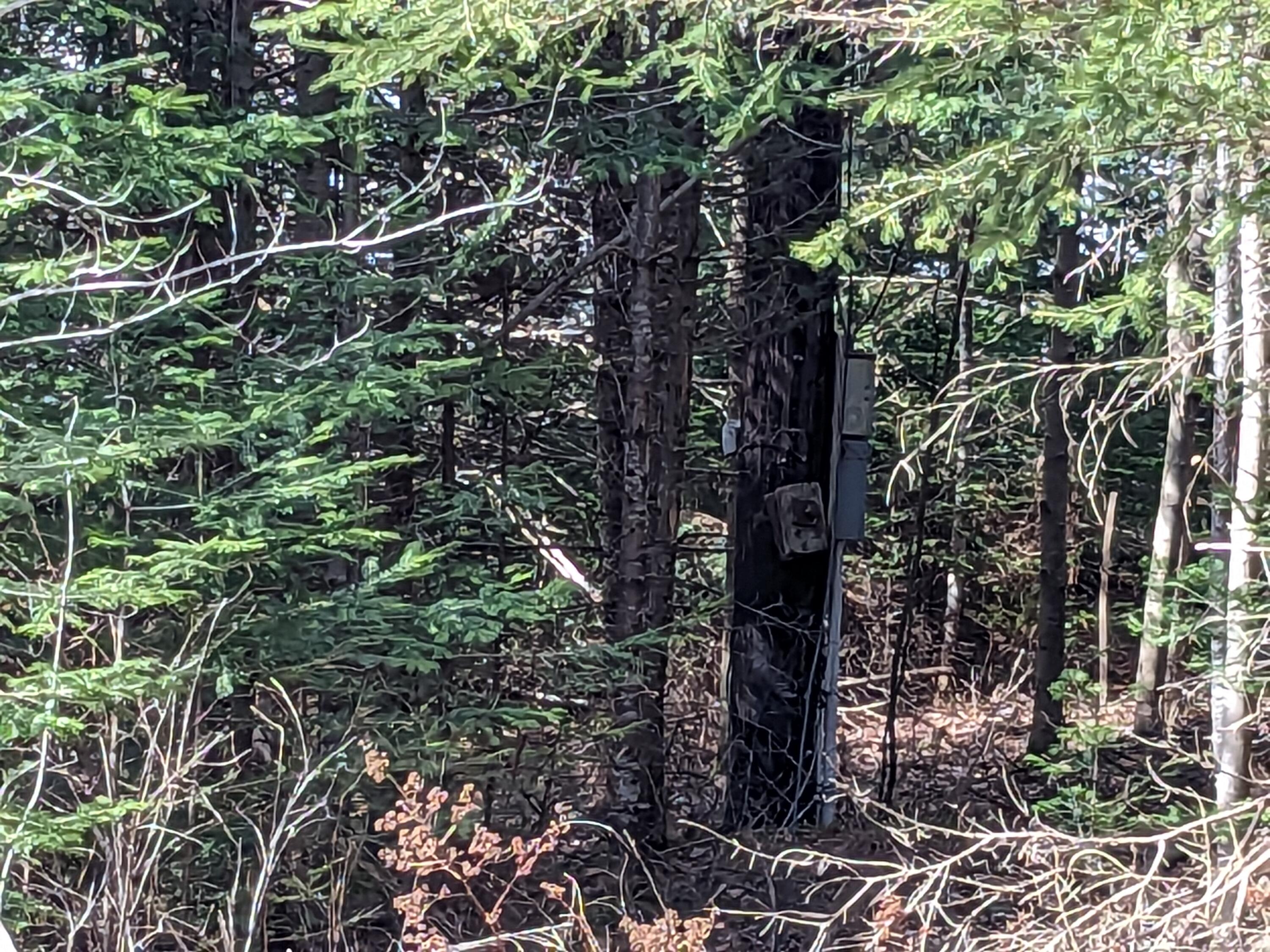 4-28 Old Town Rd/Old County RD Road, Machiasport, ME, 04655