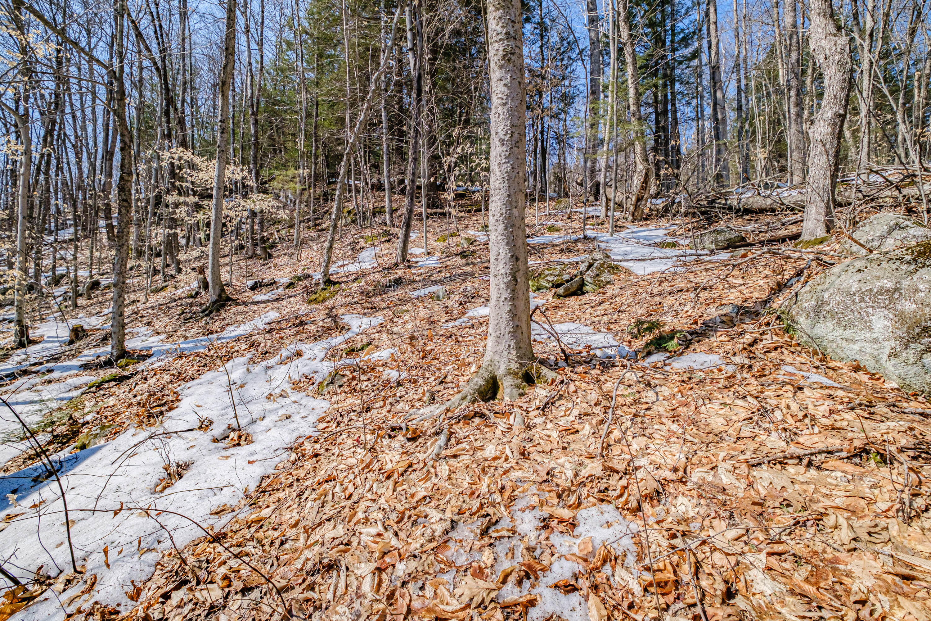 819 Greenwood Road, Greenwood, ME, 04255