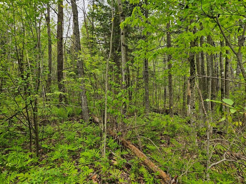 681 Mile Hill Road, New Sharon, ME, 04955