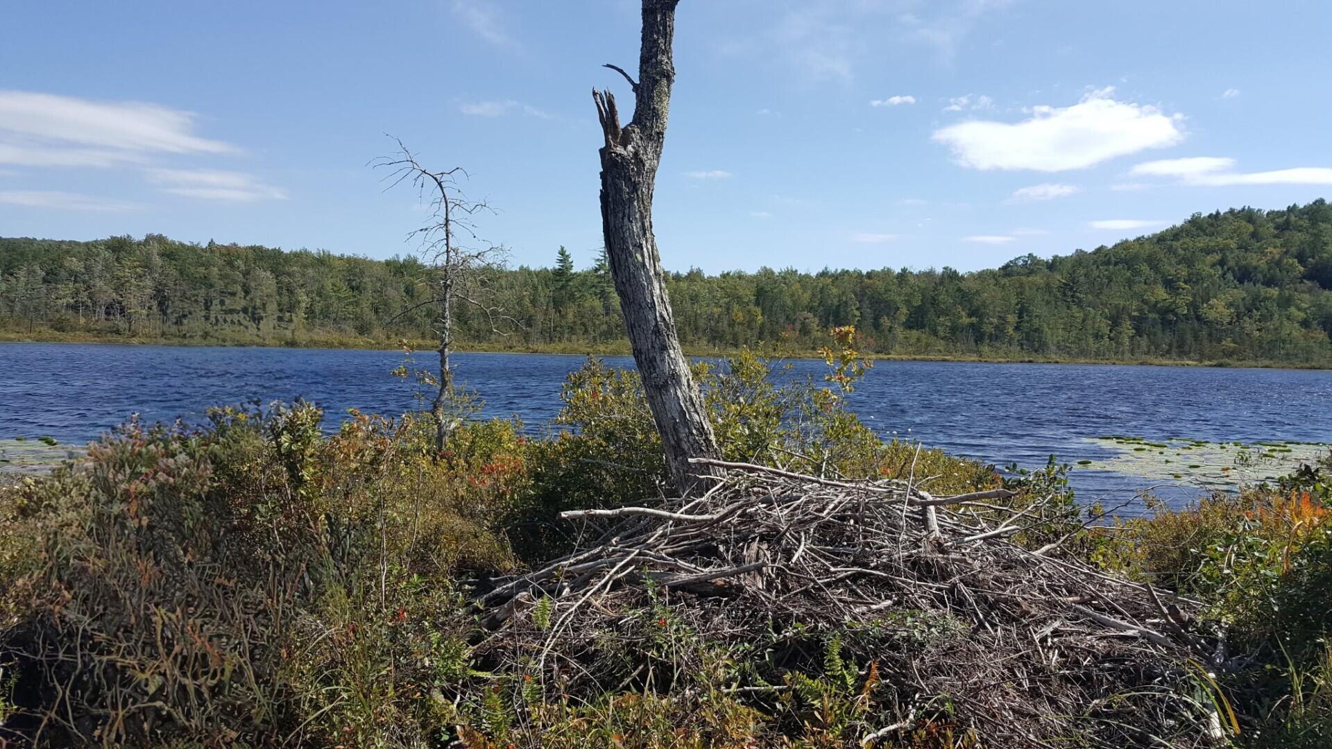 M4 96 & 99 Parker Pond Road, Jay, ME, 04239