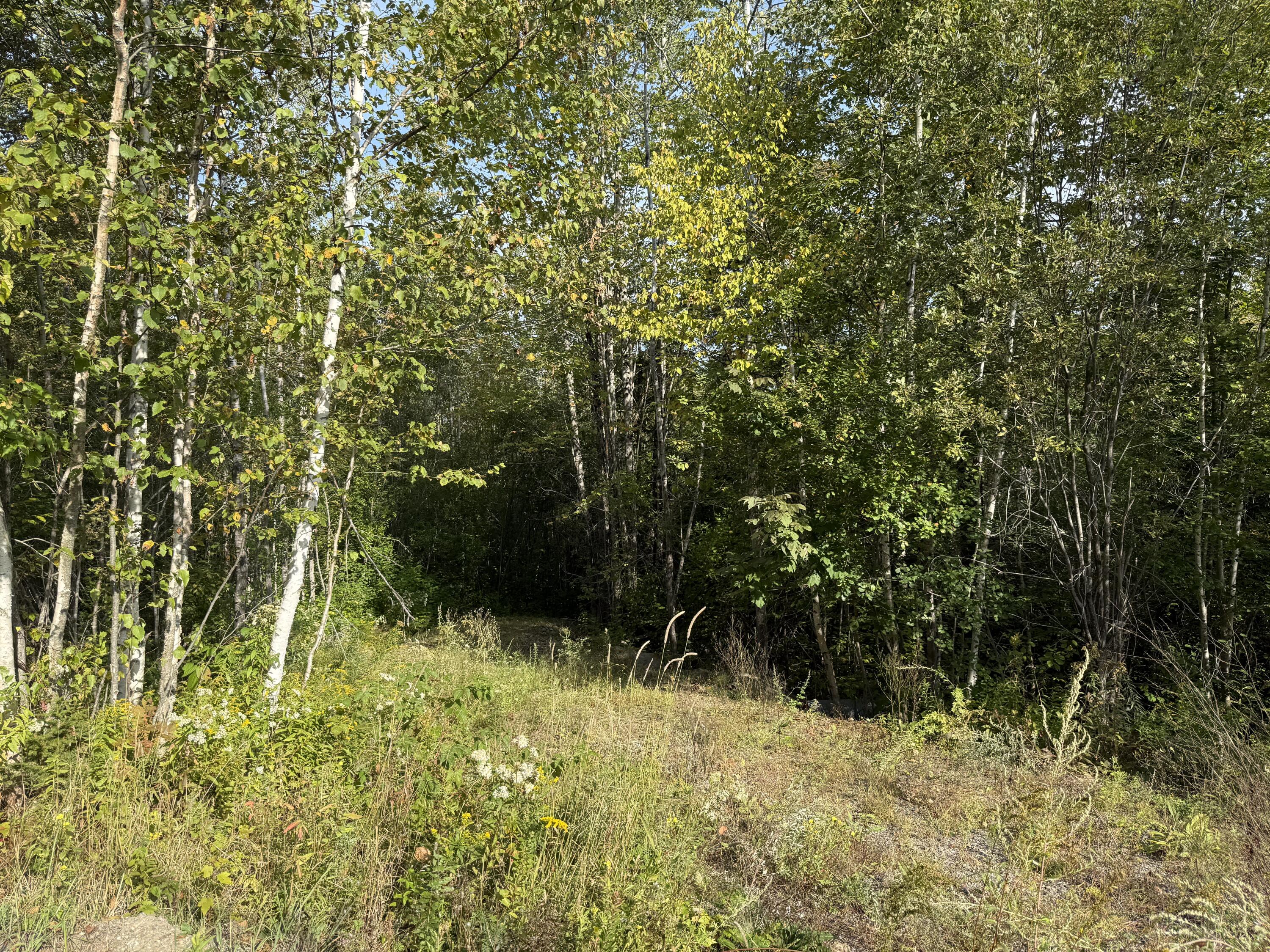 11 Bowling Green Lane, Belfast, ME, 04915