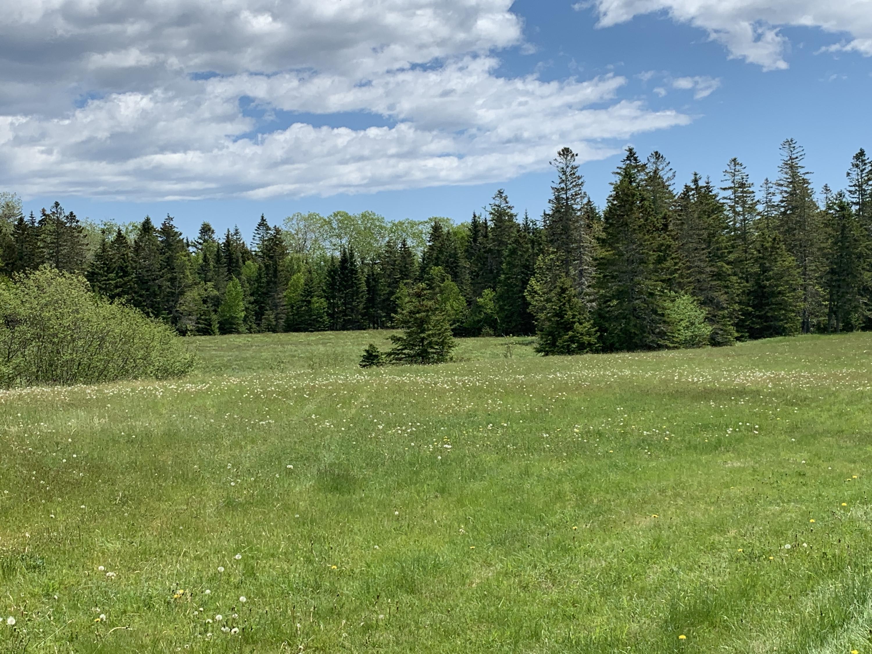 1 Daggett Road, Perry, ME, 04667