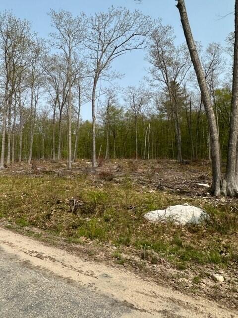 Lot 17 Birch Circle, Harrison, ME, 04040