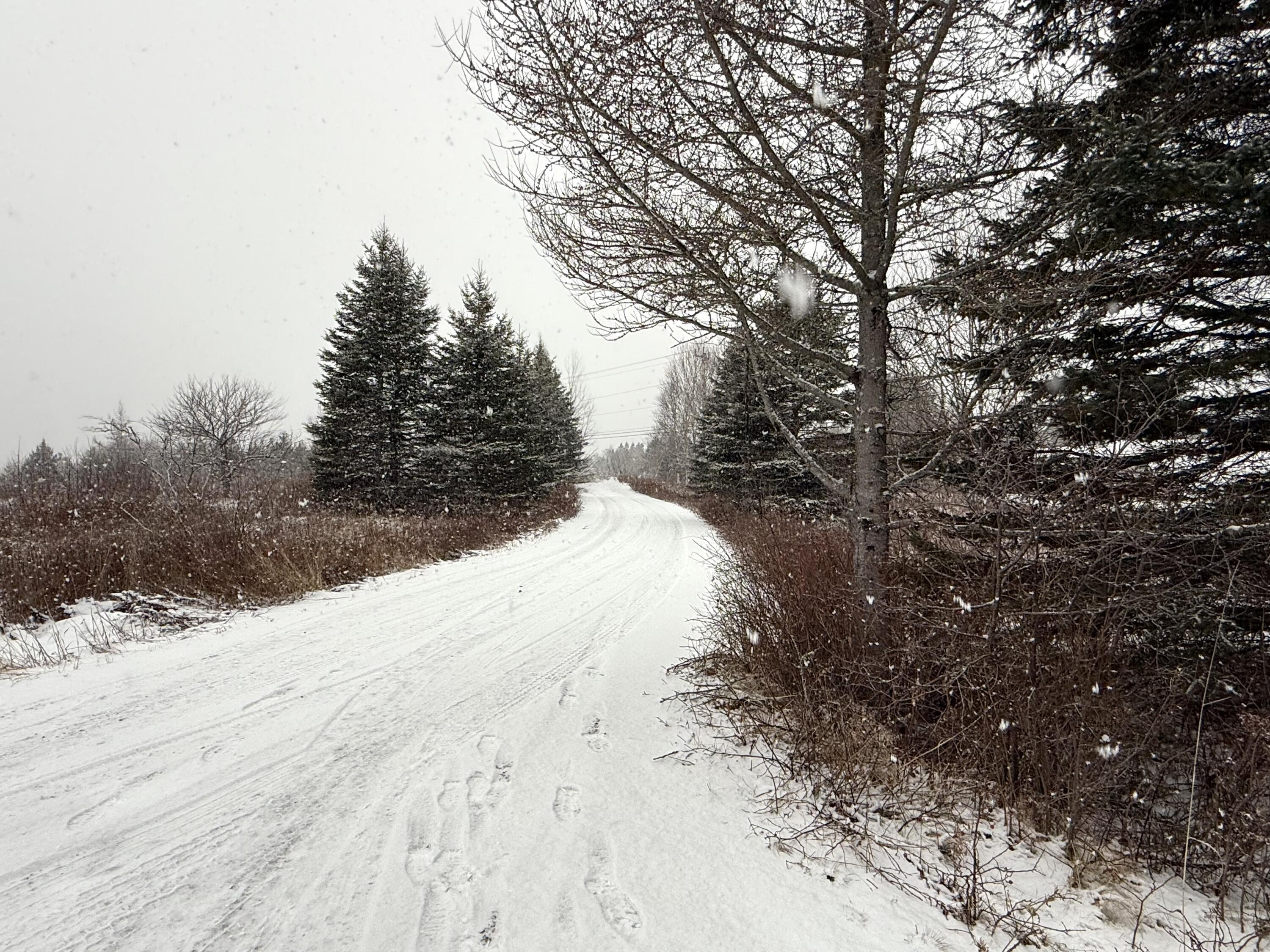 60 U.S. Rte 1, Whiting, ME, 04691