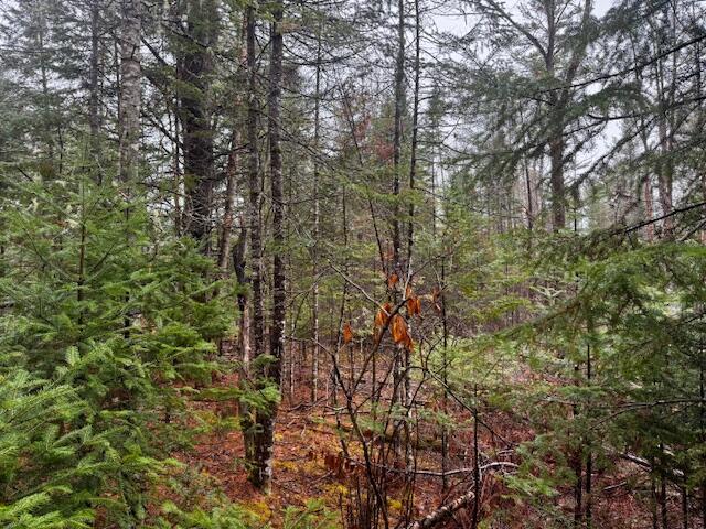 SO 001 Plan 2 Lot 16.1 Long Falls Dam Road, Lexington Twp, ME, 04961