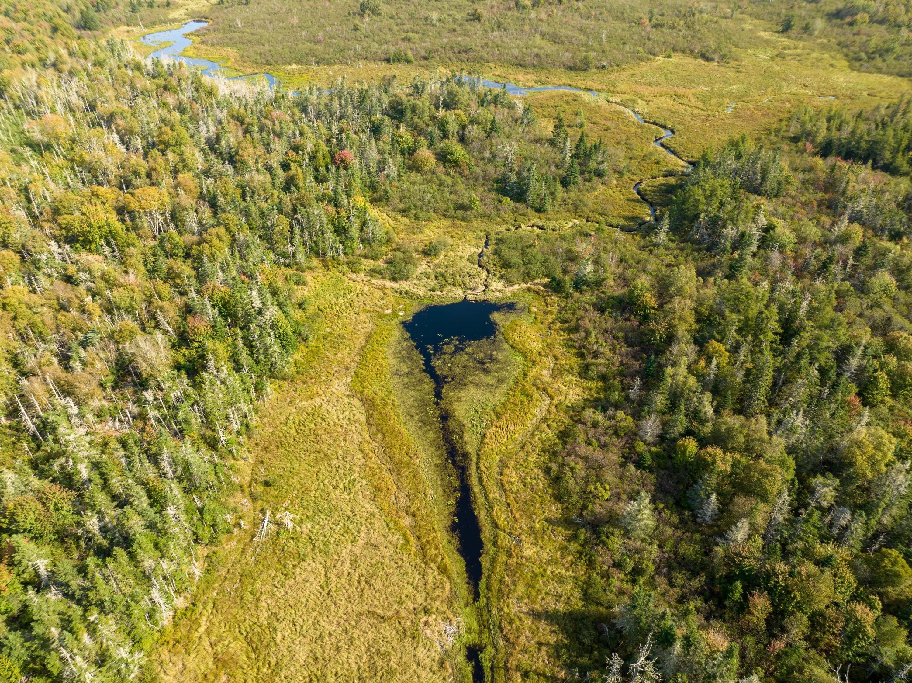 117 Denbow Road, Lubec, ME, 04652