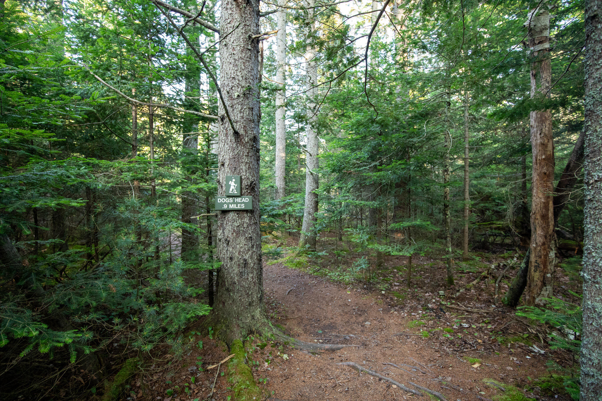 0 Bayview Road UNIT 2, Harpswell, ME, 04066