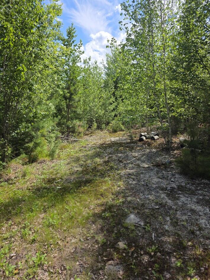 0 E Pleasant River Lake Road, Beddington, ME 04622 20260617_144604