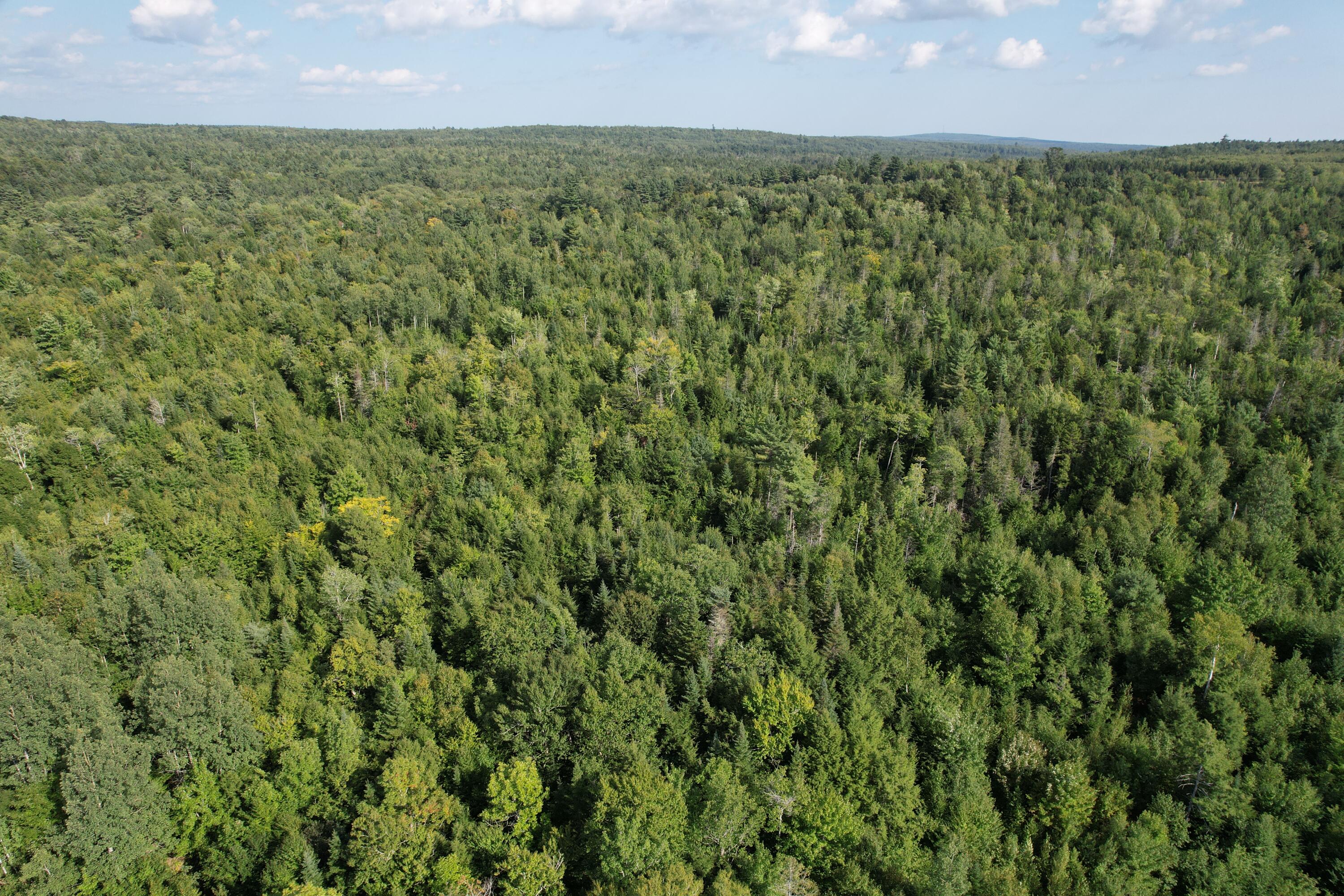 69K Christmas Cove Road, Crawford, ME, 04694