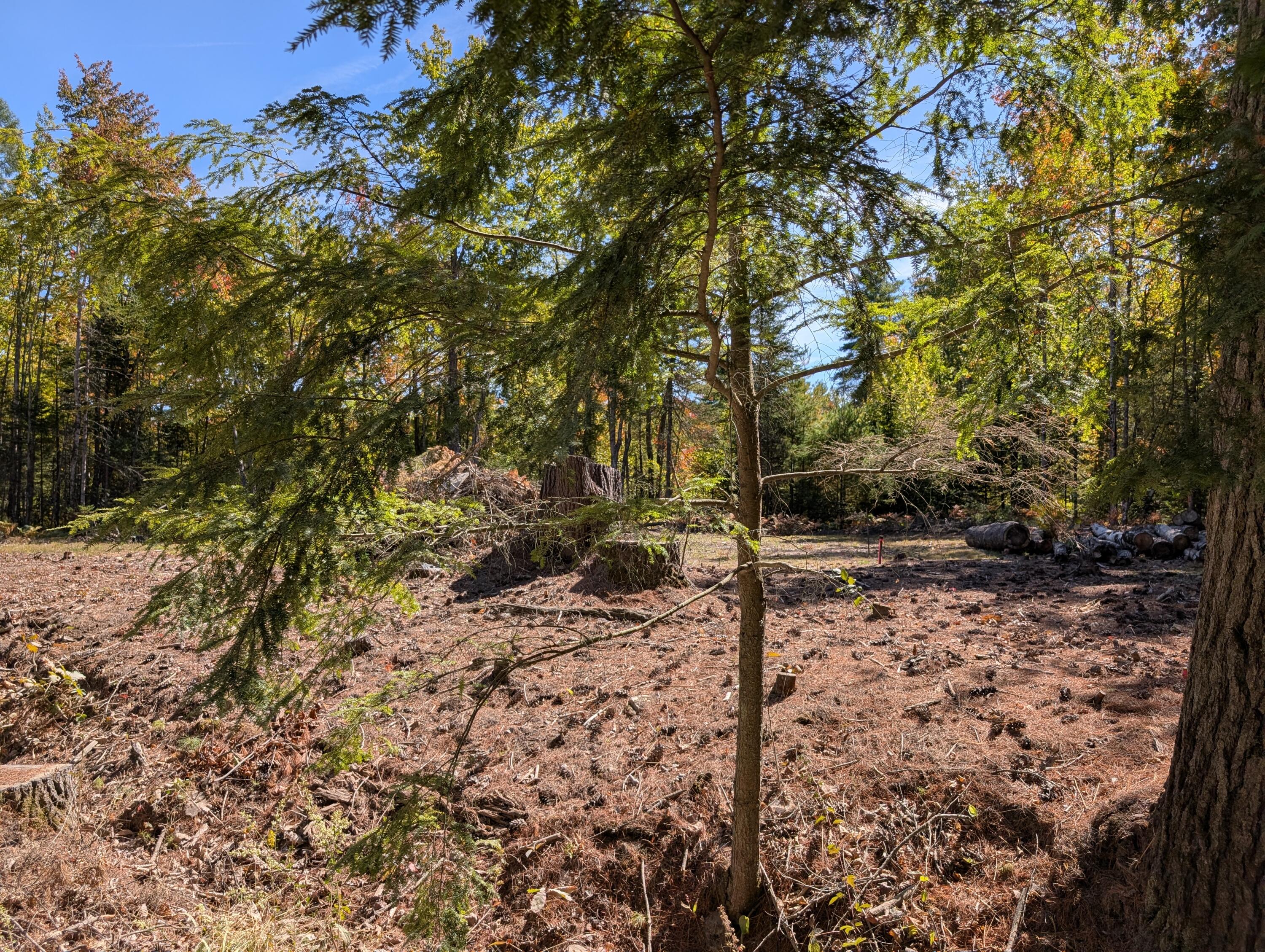 MR11 Lot40 Yeaton Swamp Road, Oxford, ME, 04270