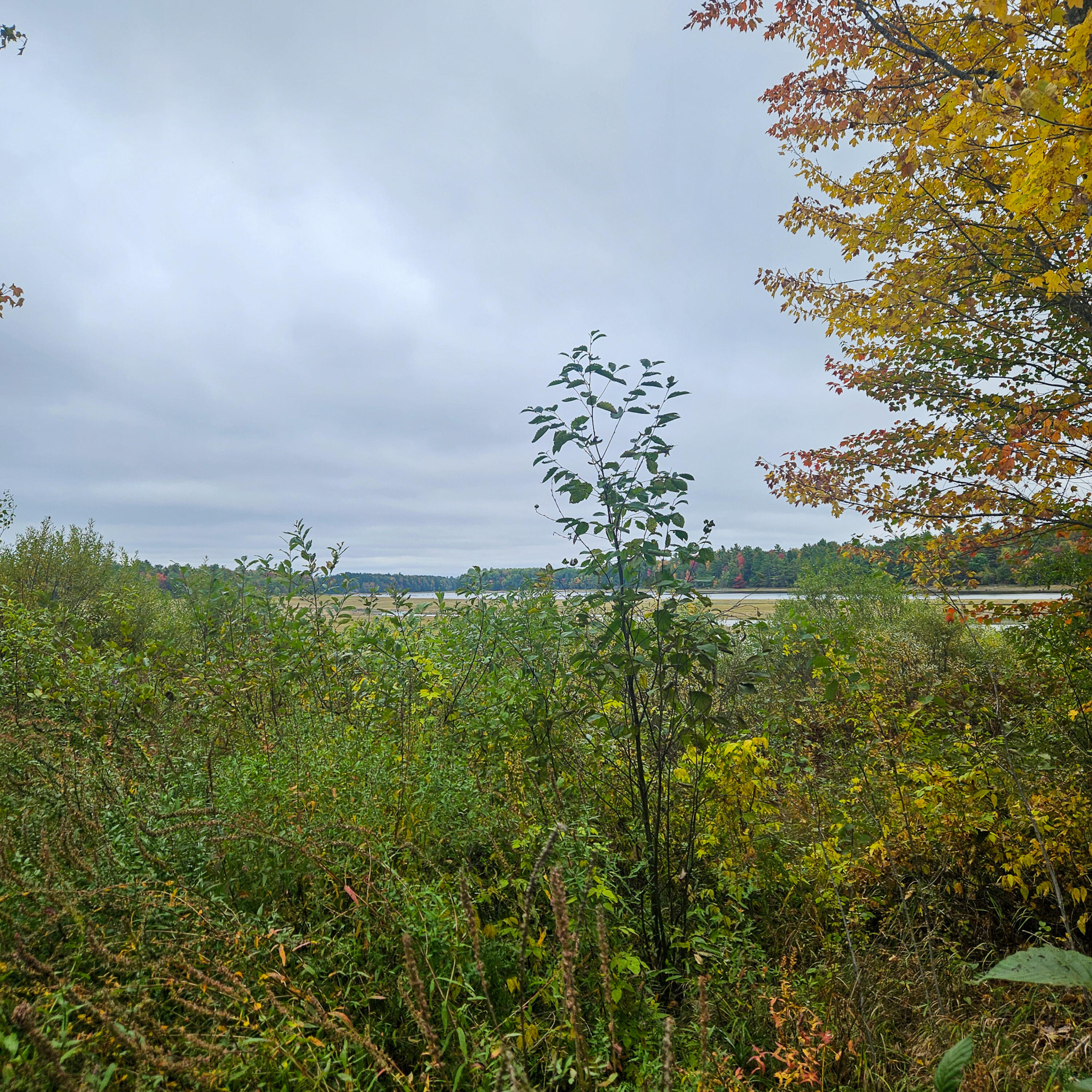 206 Morrison Farm Road, Mariaville, ME, 04605