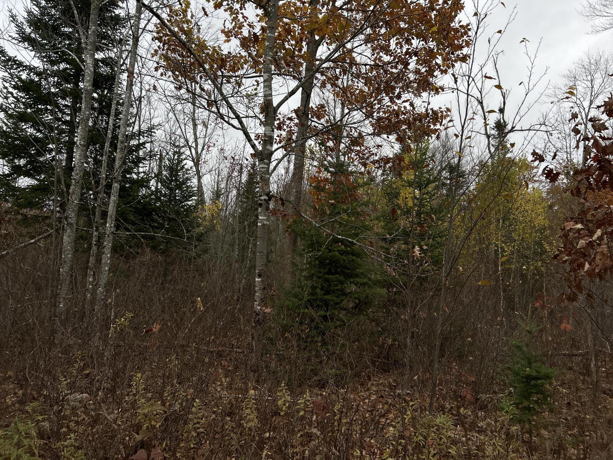 M4L18 Bog Road, Jackson, ME, 04921