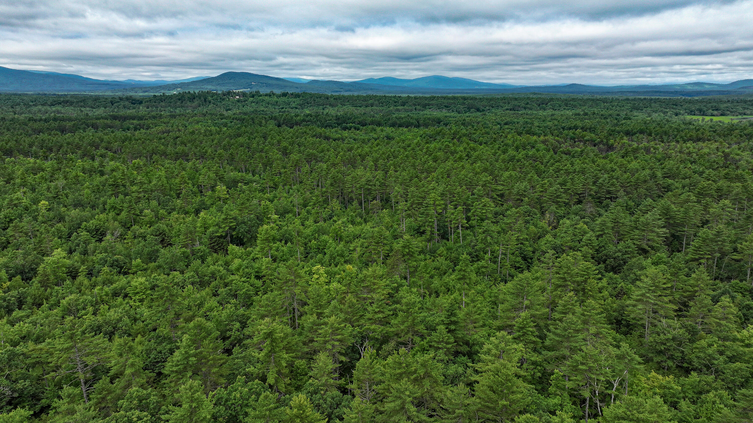 62-B Long Pond Drive, Denmark, ME, 04022