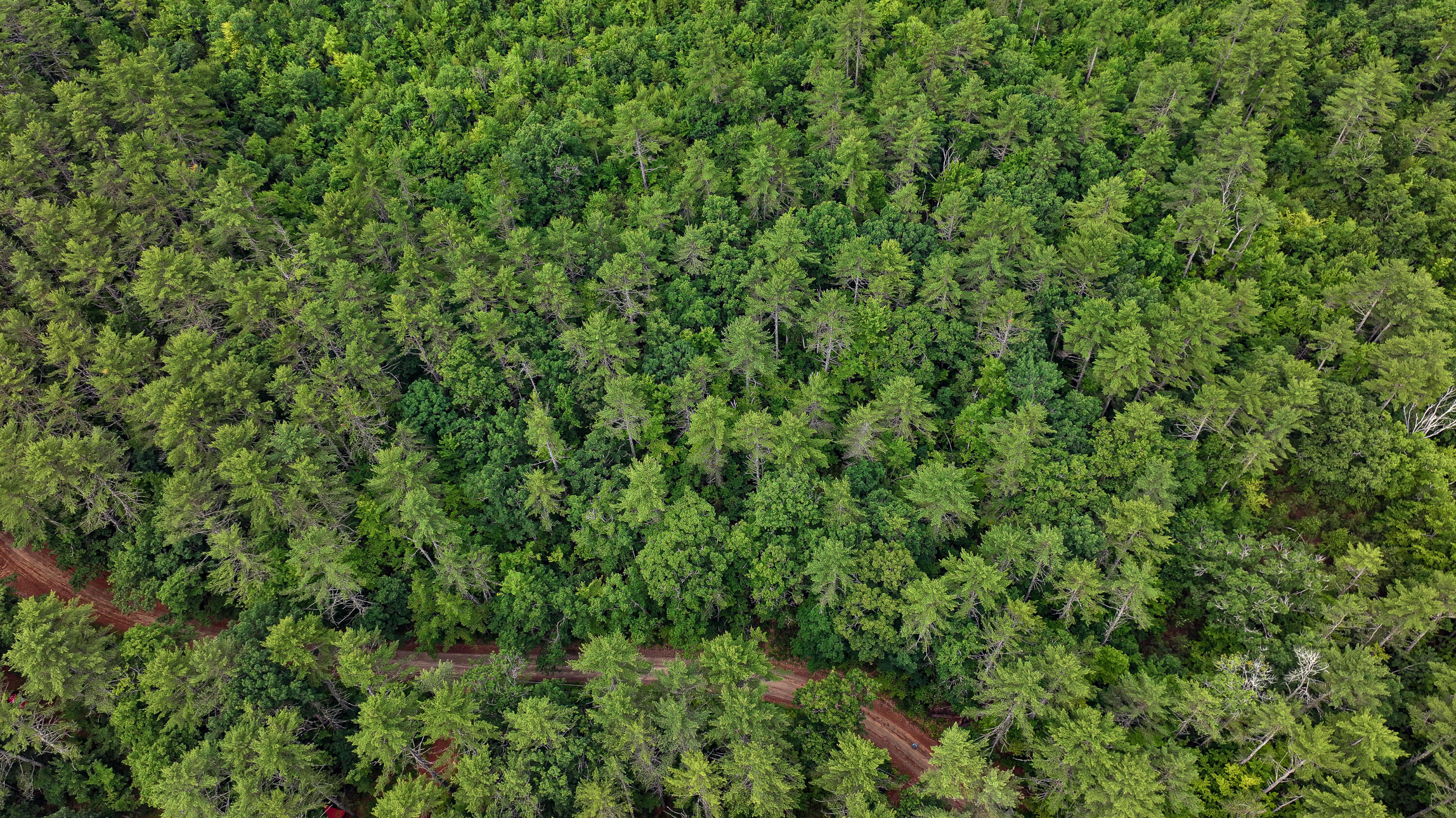 62-B Long Pond Drive, Denmark, ME, 04022