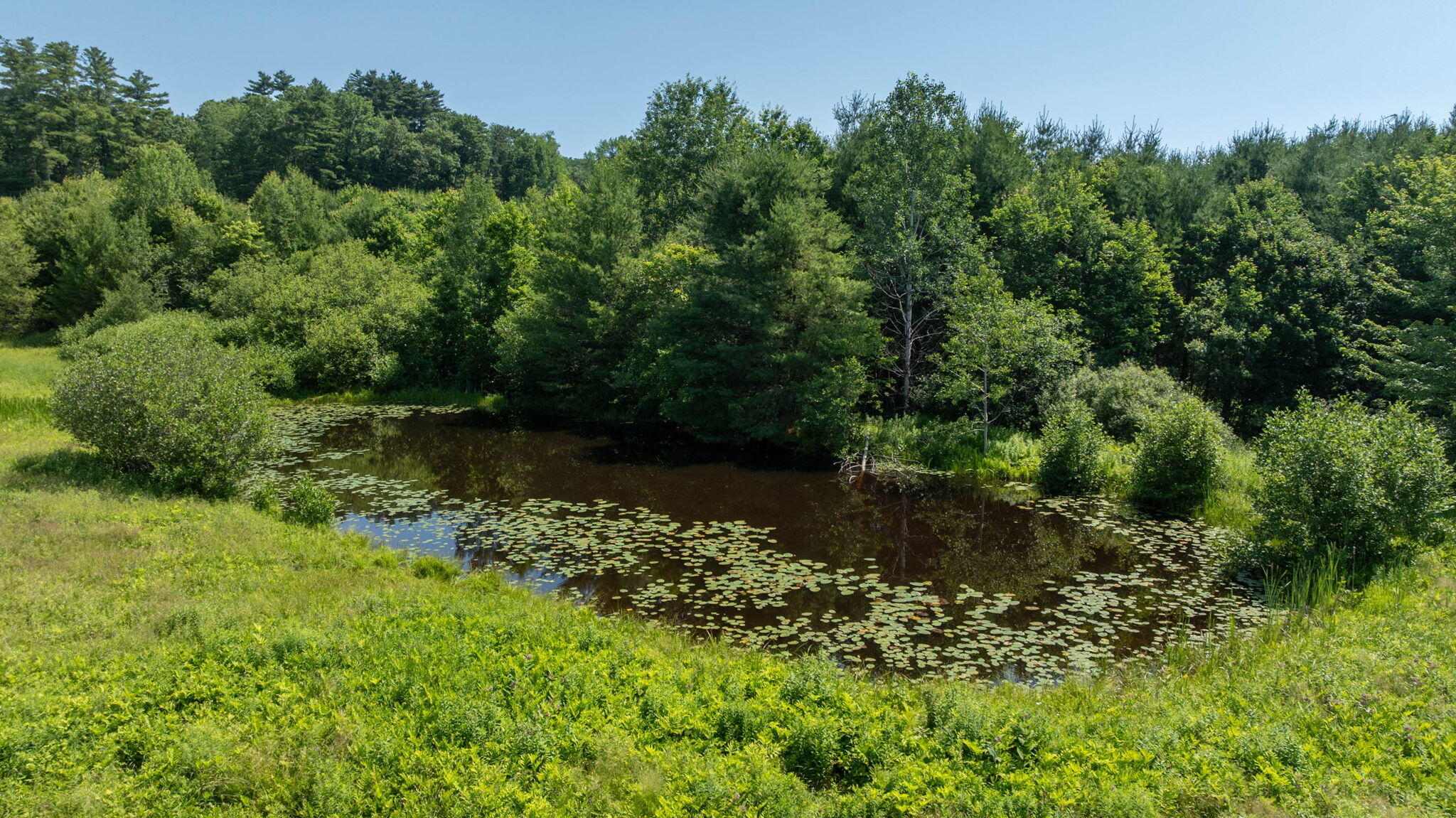 156 Barstow Road