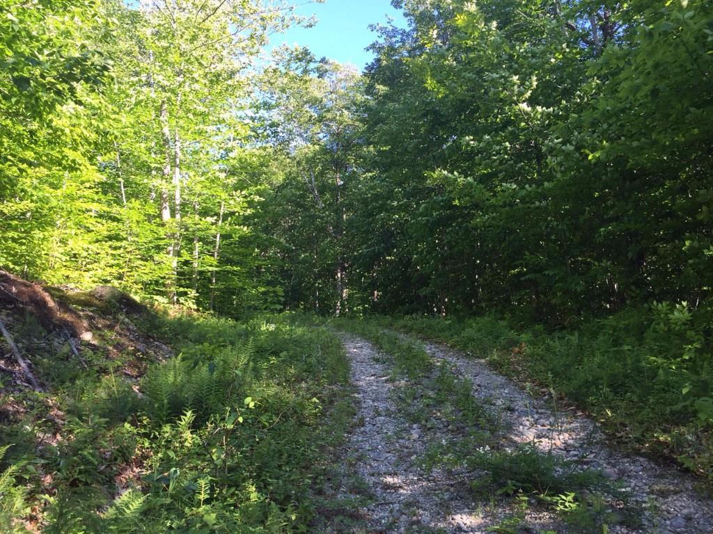 28 South Pond Shore Lane, Greenwood, ME, 04255