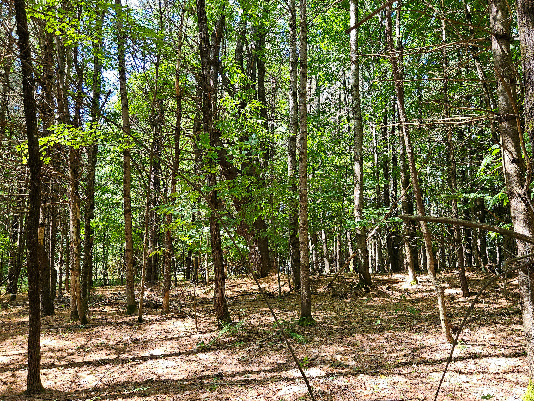 11-31-C Stone Hill Road, Farmington, ME, 04938