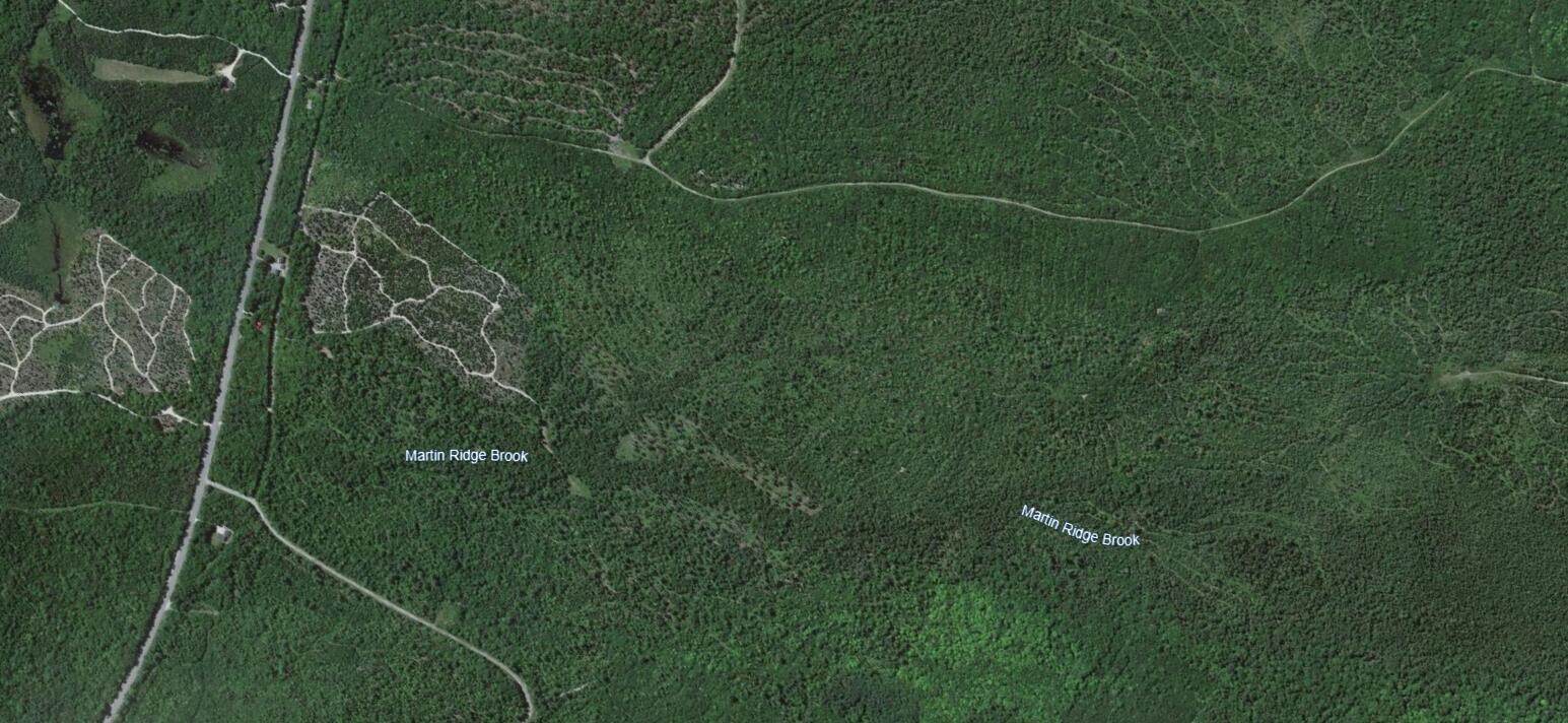 Map10Lot27 Blackswoods Road, Franklin, ME, 04634
