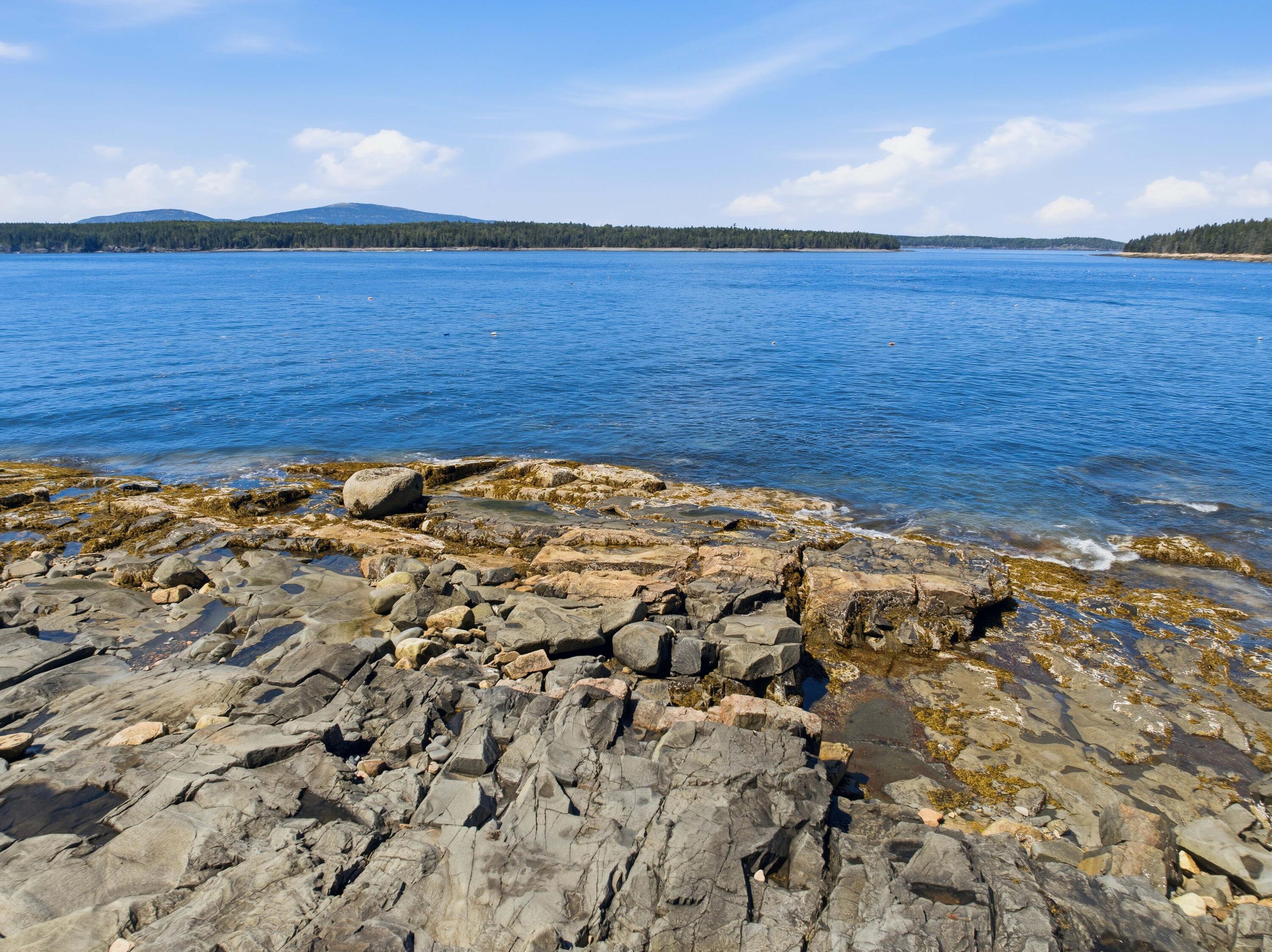 29 Loons Call, Winter Harbor, ME 04693 29 Loons Call Winter Harbor (11 of 47)