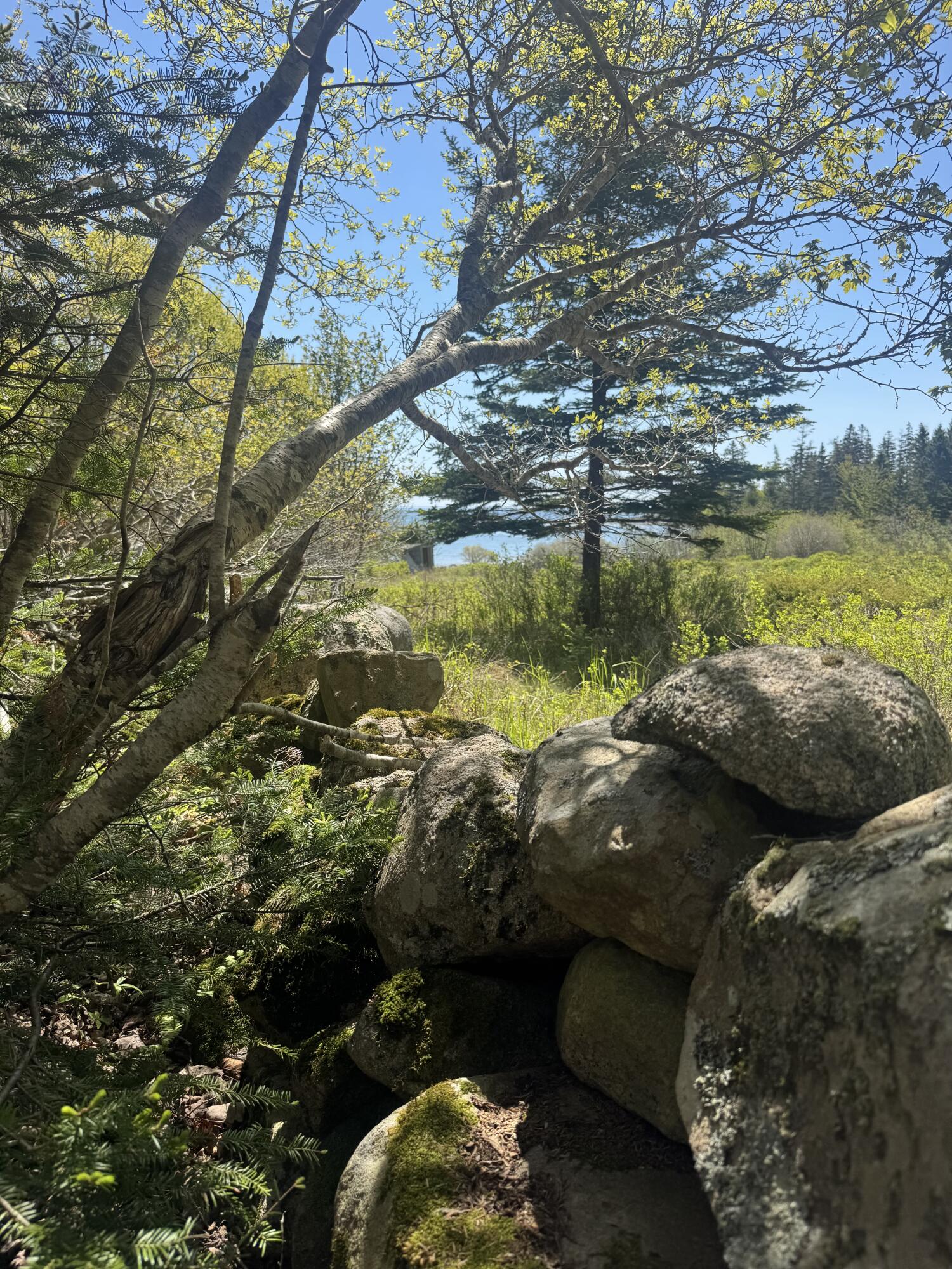 Lot UNIT&nbsp;5 George Wright Road, Vinalhaven, ME, 04863