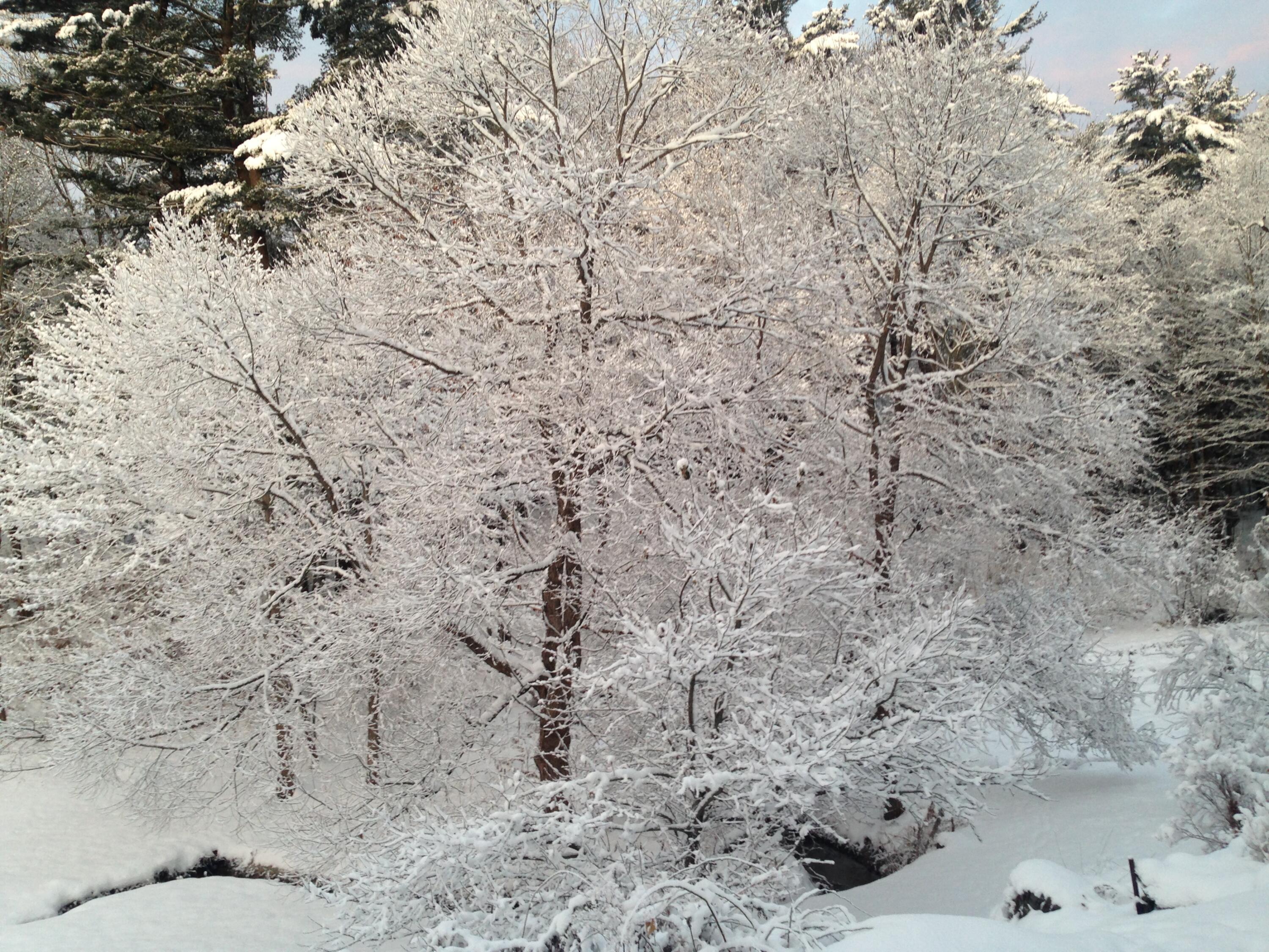 38 Main Street, Topsham, ME, 04086