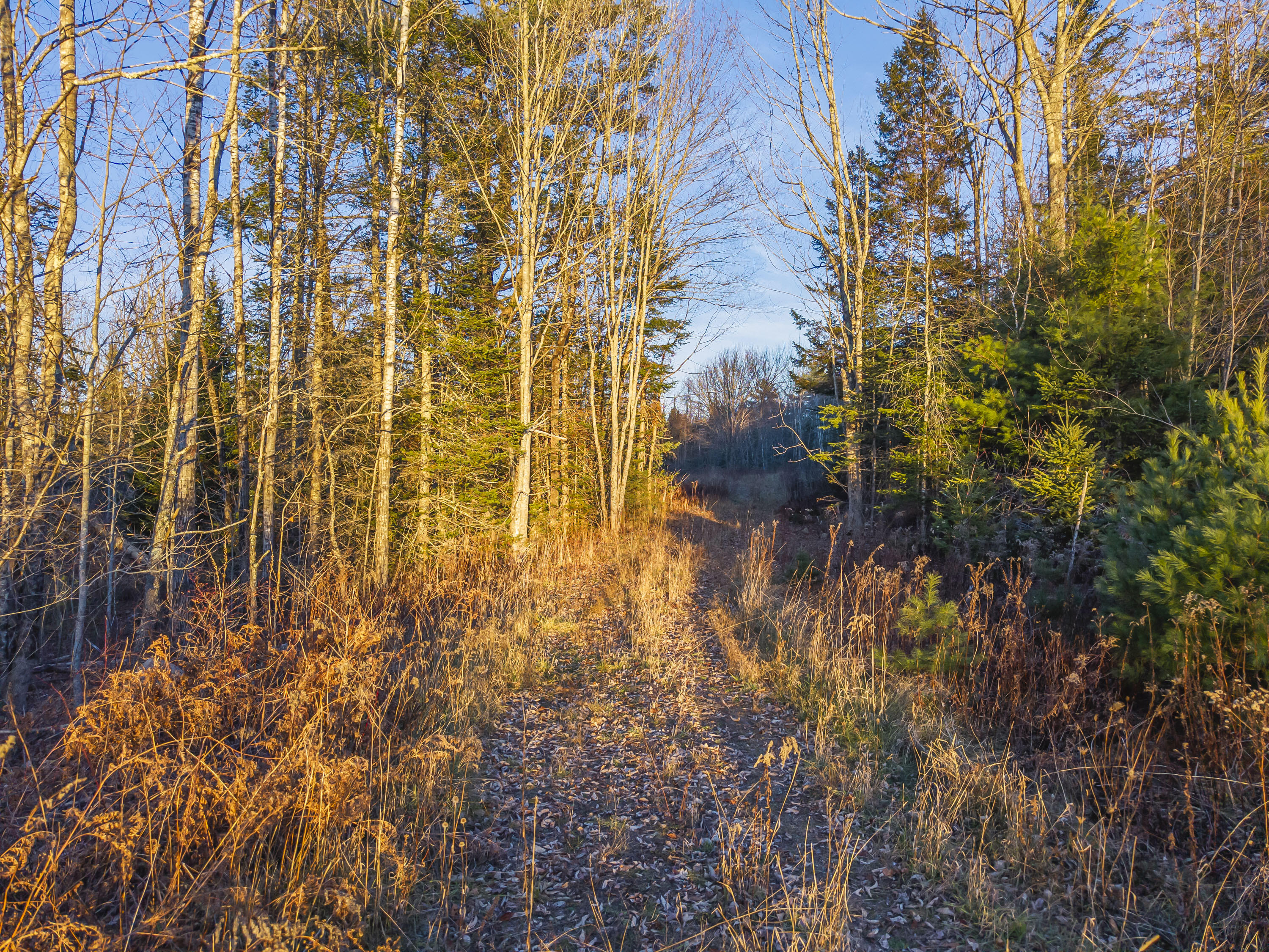 Lot A + B Reef Road, Waldoboro, ME, 04572