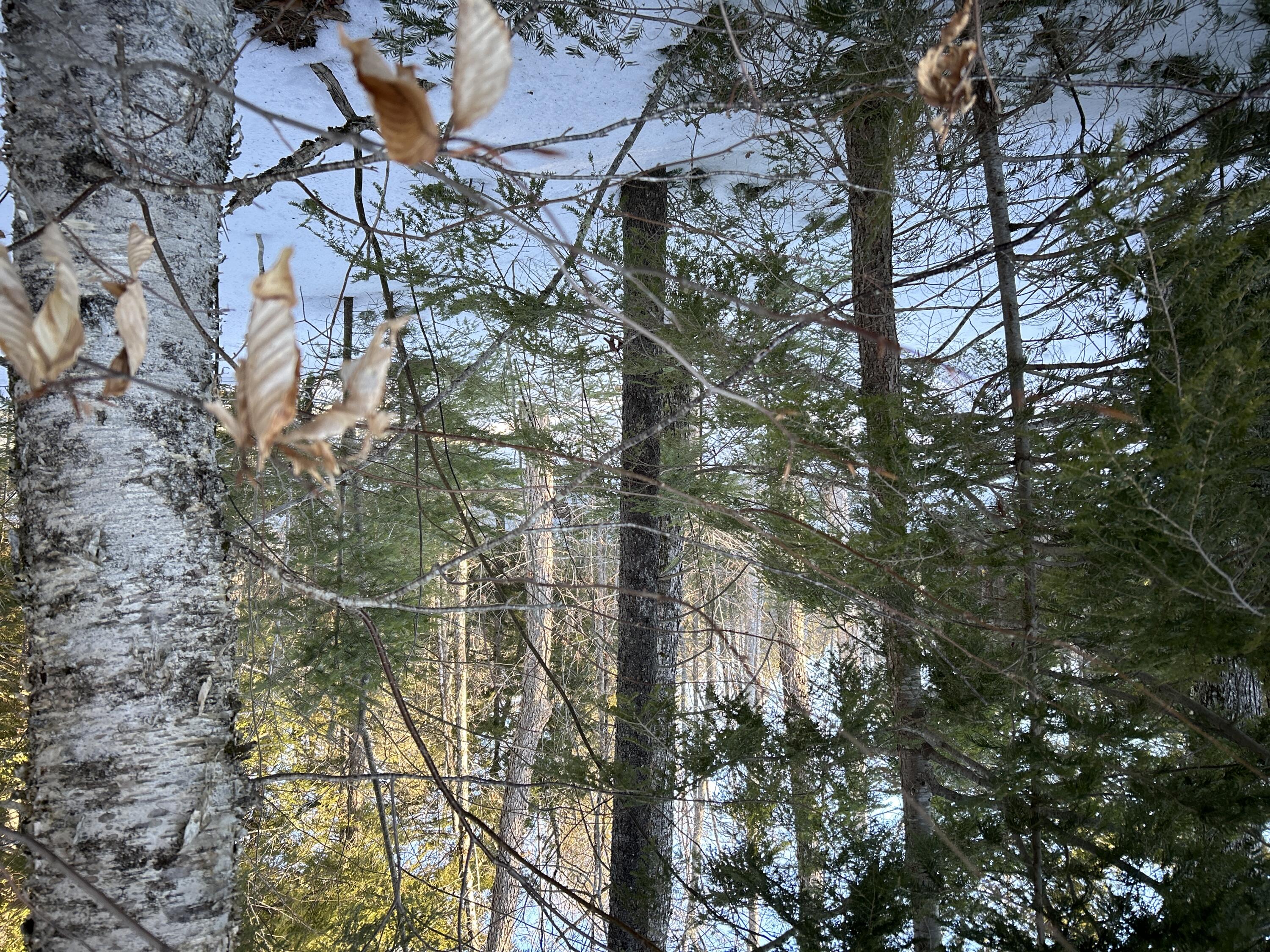 M7L22 Nelson Ridge Road N, Washington, ME, 04574