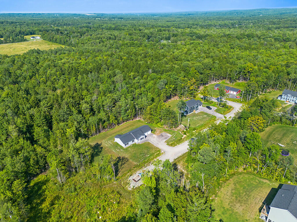 40_DJI_0804_DxO_mls