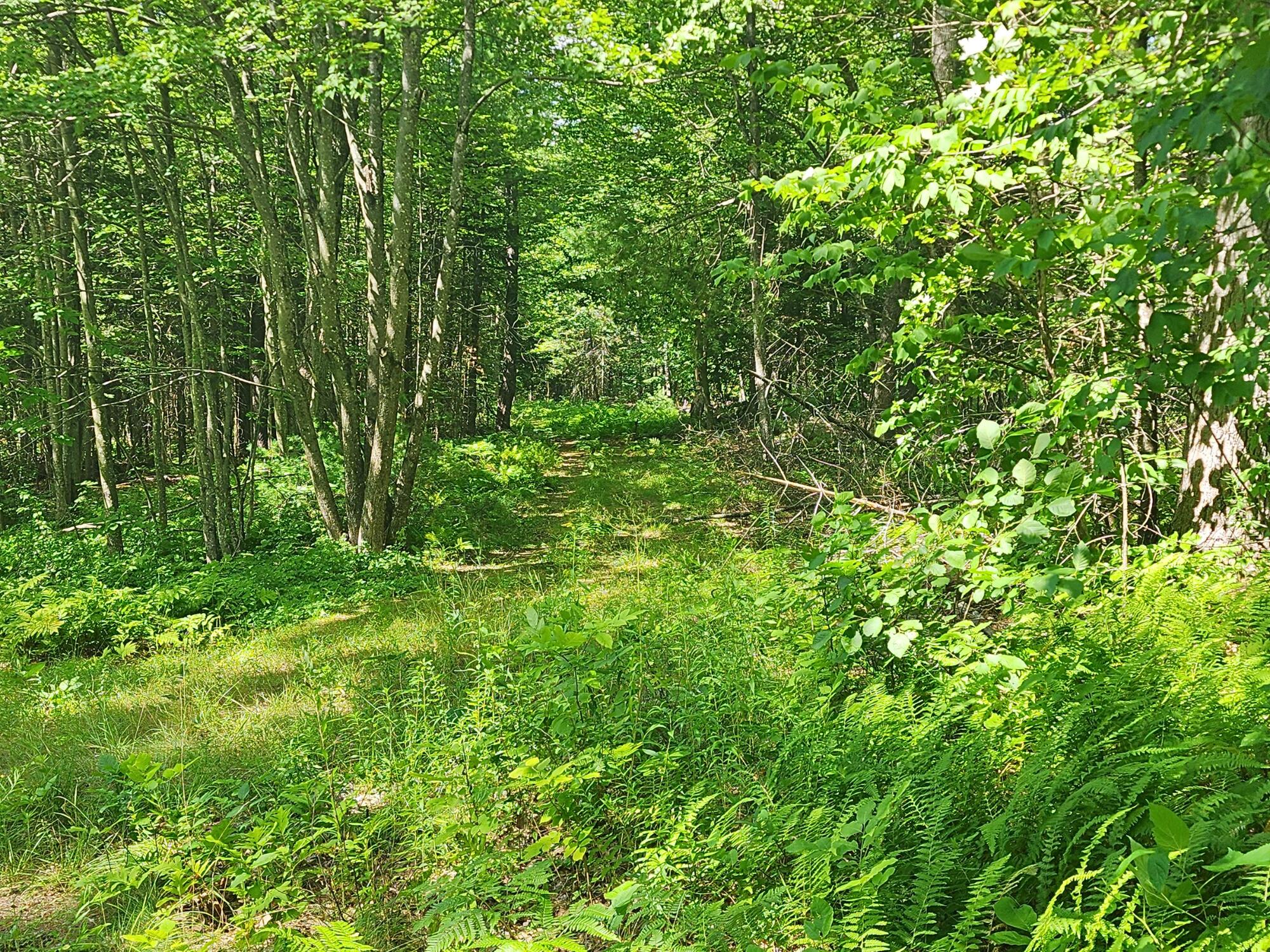 0 Wild Haven Road