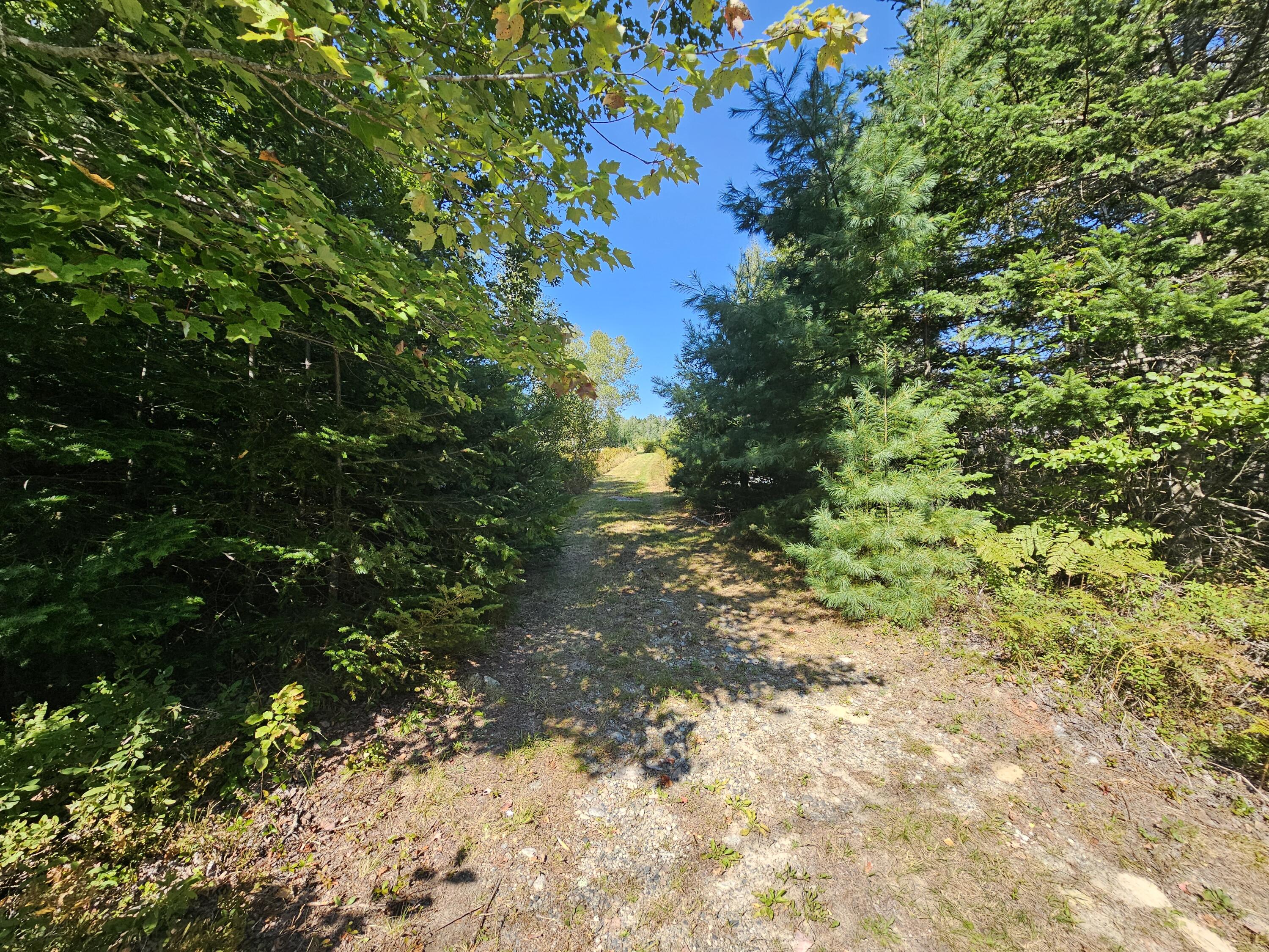 `Map 4, Lot 17, Northfield Road, Marshfield, ME, 04654