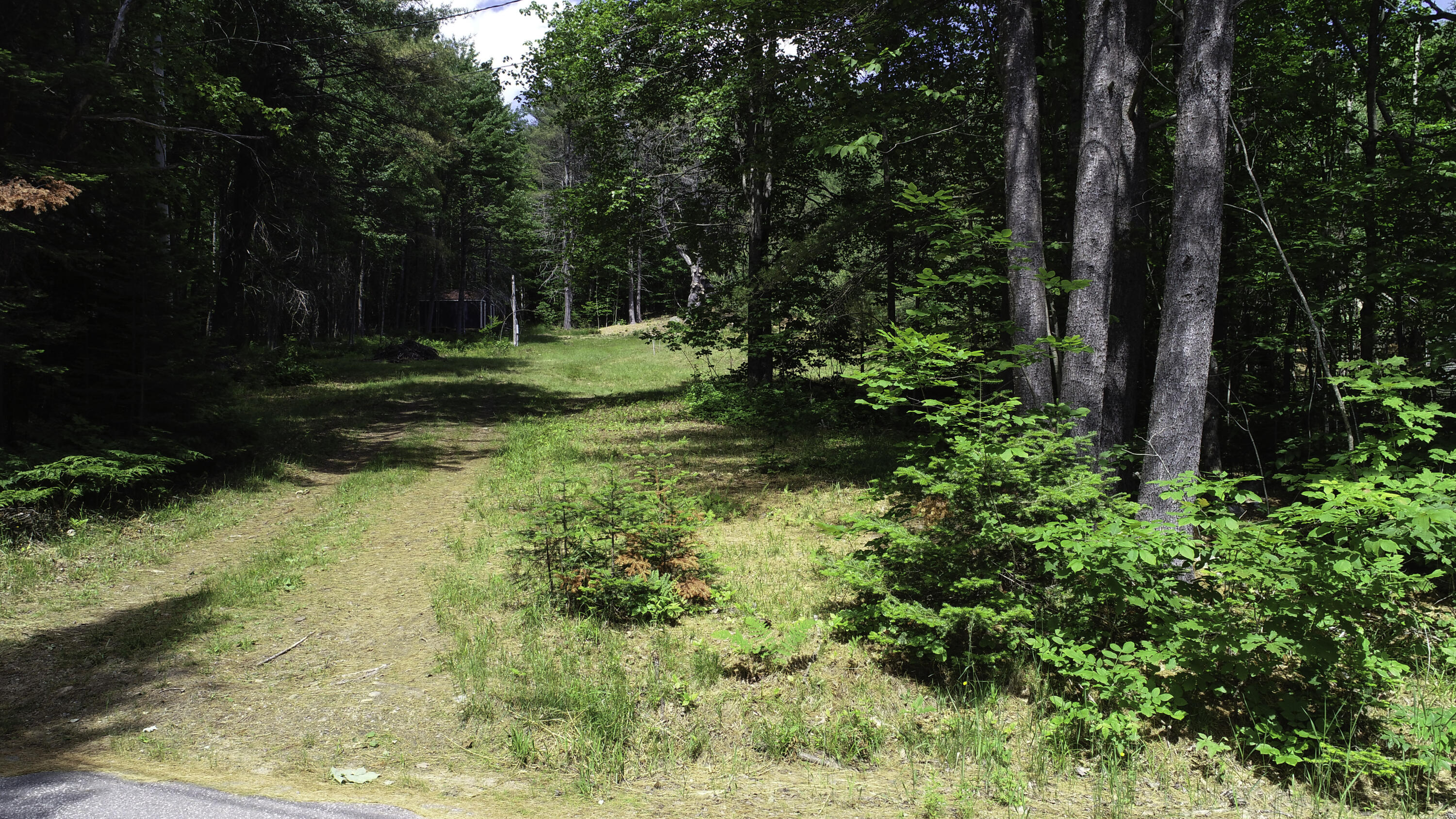 64 Bird Hill Road, Woodstock, ME, 04217
