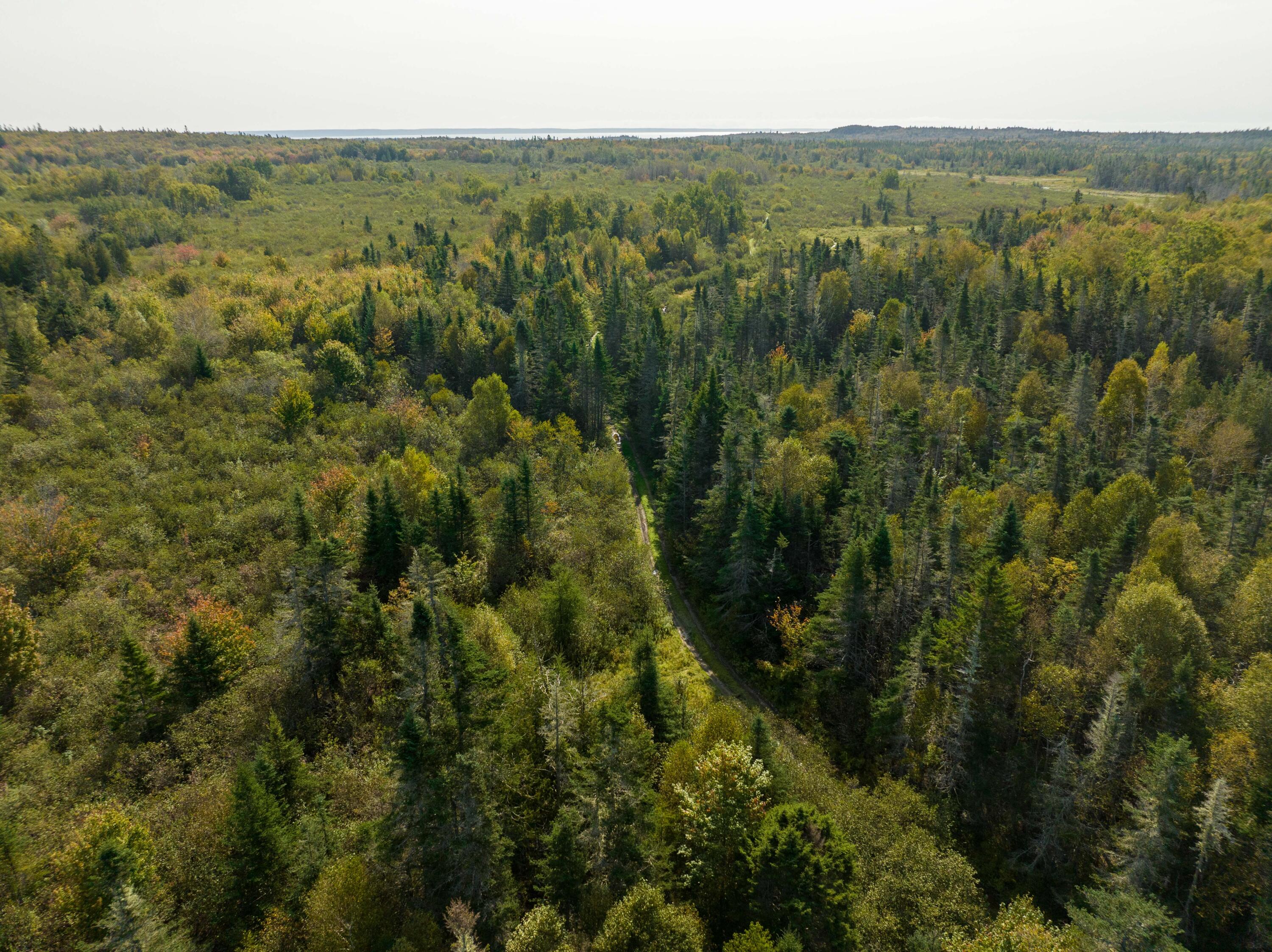 117 Denbow Road, Lubec, ME, 04652