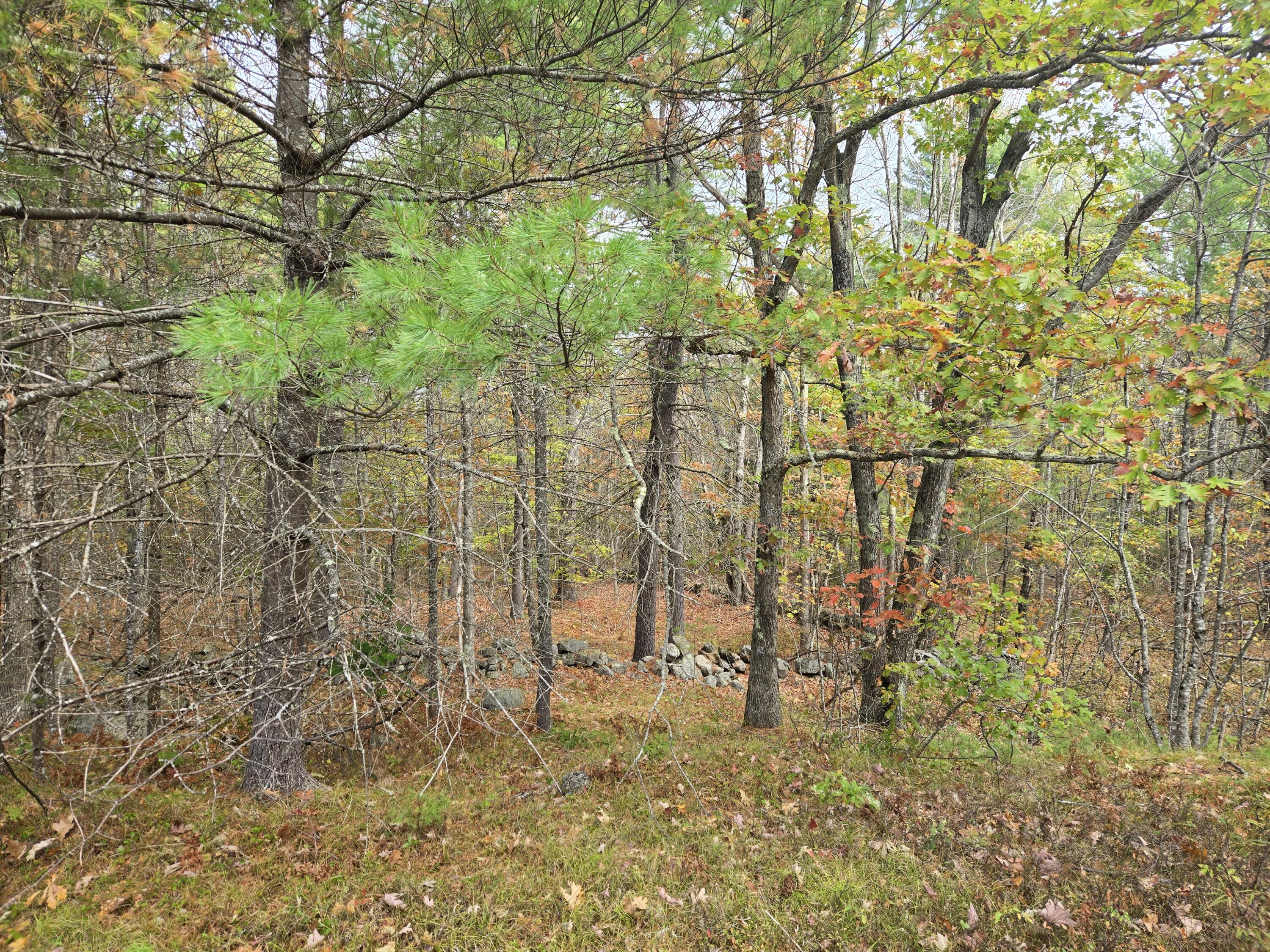 133 Plantation Lane, Brownfield, ME, 04010