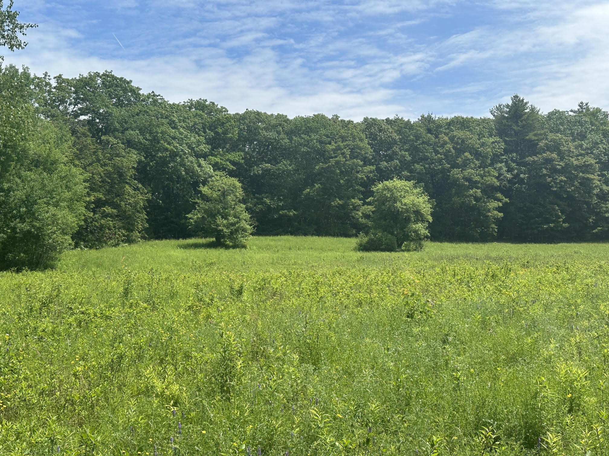 Properties For Sale